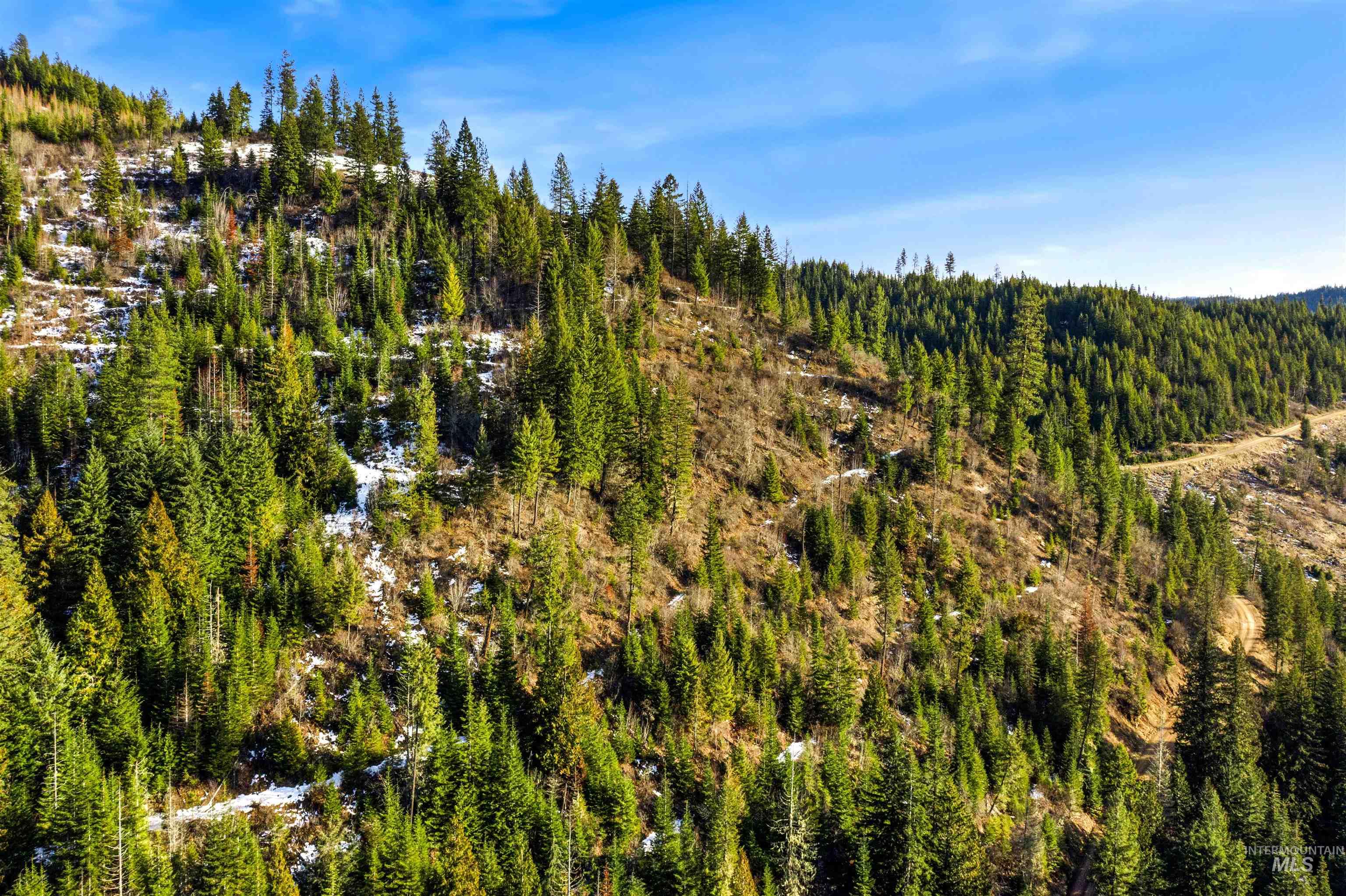 NKA Philips Draw Rd., St. Maries, Idaho 83861, Land For Sale, Price $349,900,MLS 98976917