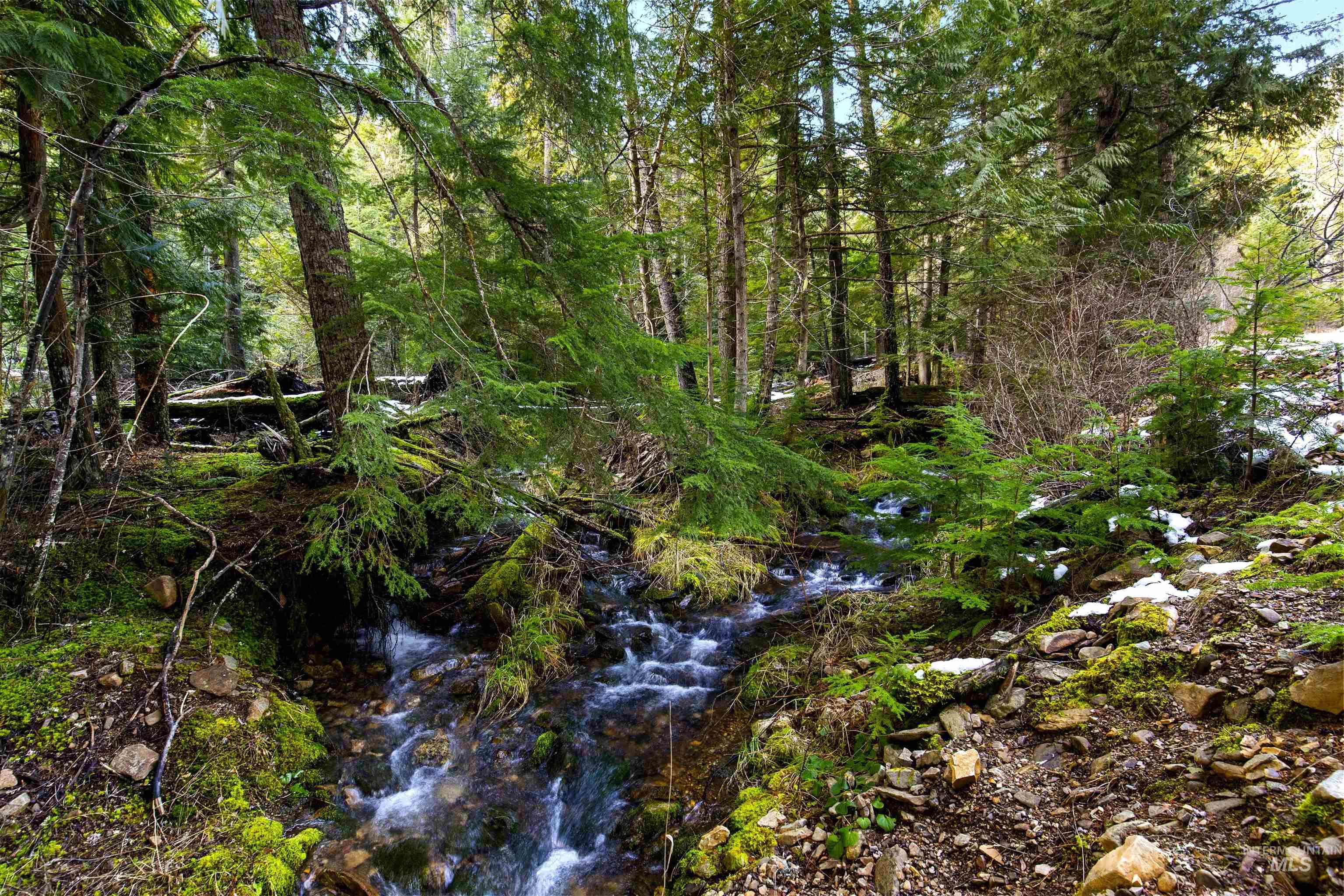 NKA Philips Draw Rd., St. Maries, Idaho 83861, Land For Sale, Price $349,900,MLS 98976917