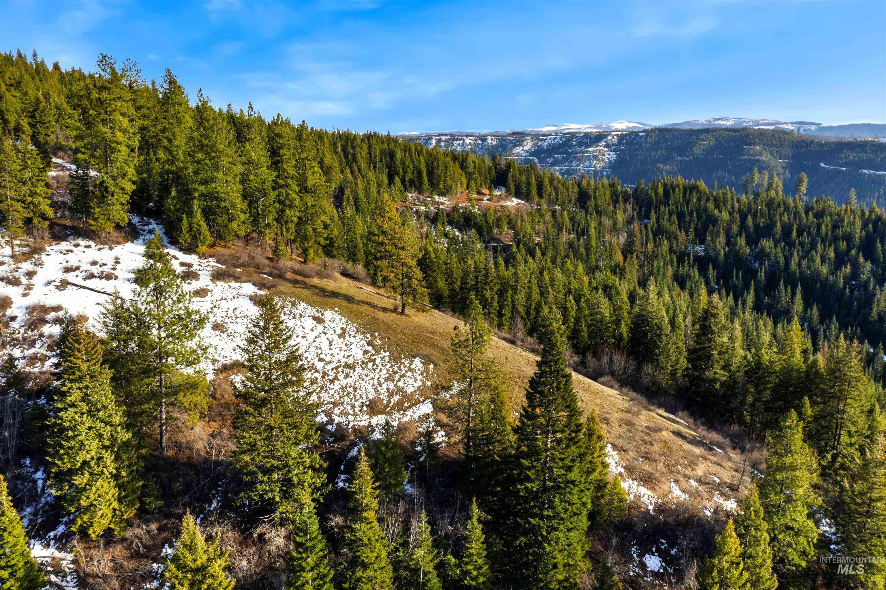 NKA Philips Draw Rd., St. Maries, Idaho 83861, Land For Sale, Price $349,900,MLS 98976917