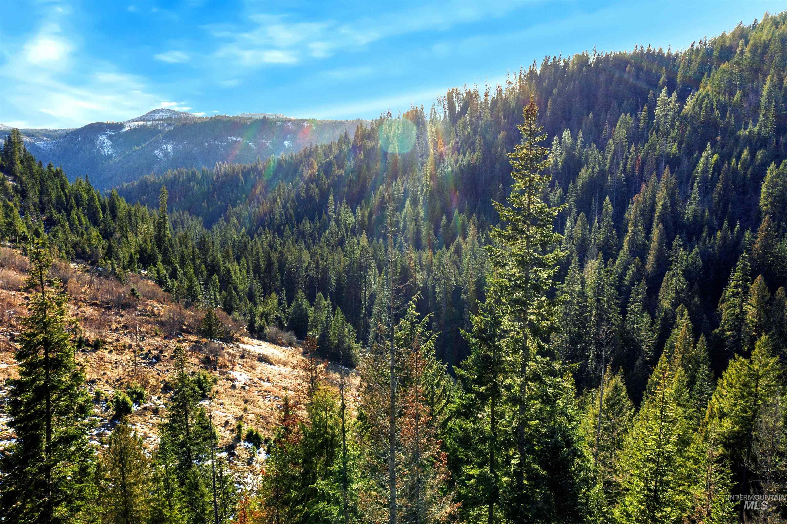 NKA Philips Draw Rd., St. Maries, Idaho 83861, Land For Sale, Price $349,900,MLS 98976917