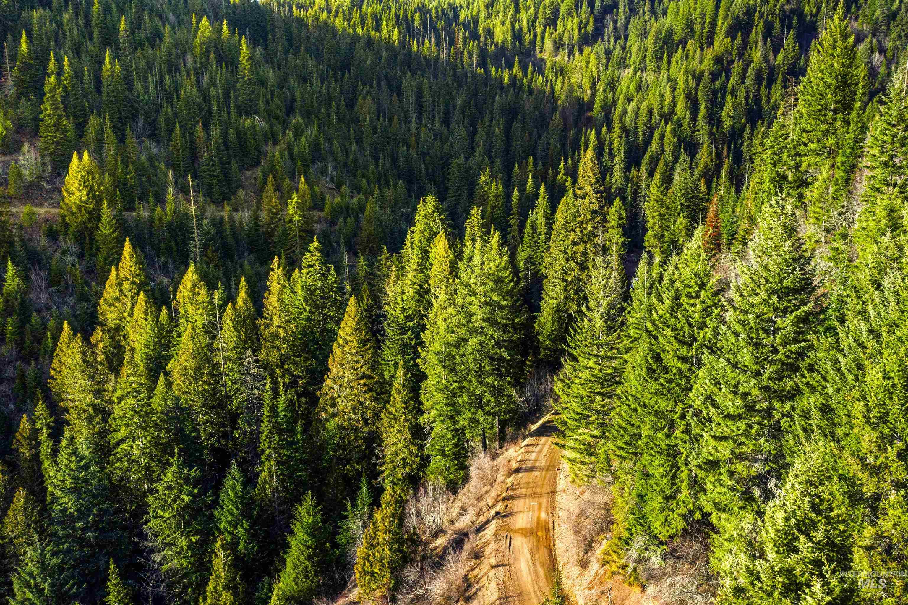 NKA Philips Draw Rd., St. Maries, Idaho 83861, Land For Sale, Price $349,900,MLS 98976917