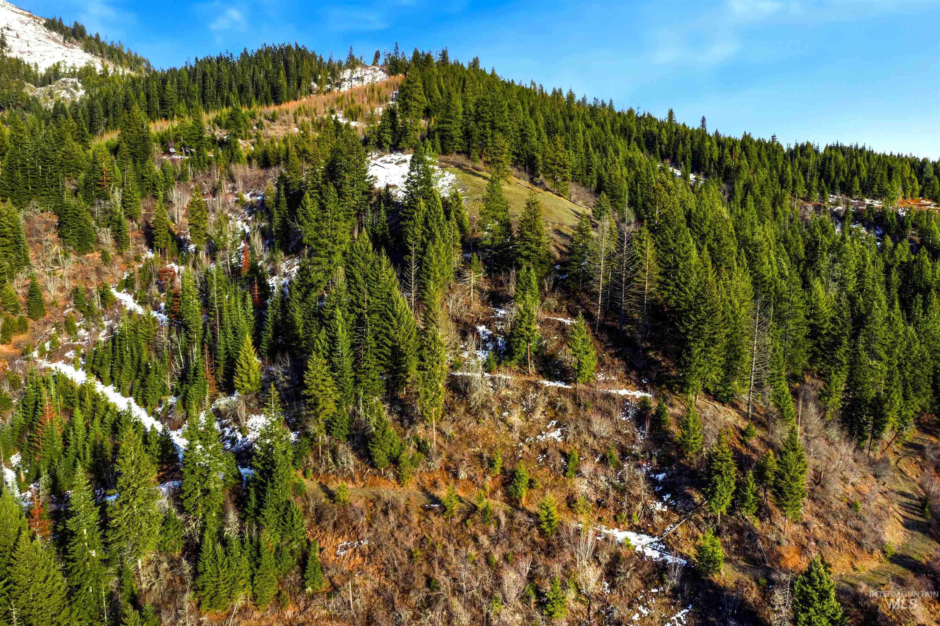 NKA Philips Draw Rd., St. Maries, Idaho 83861, Land For Sale, Price $349,900,MLS 98976917