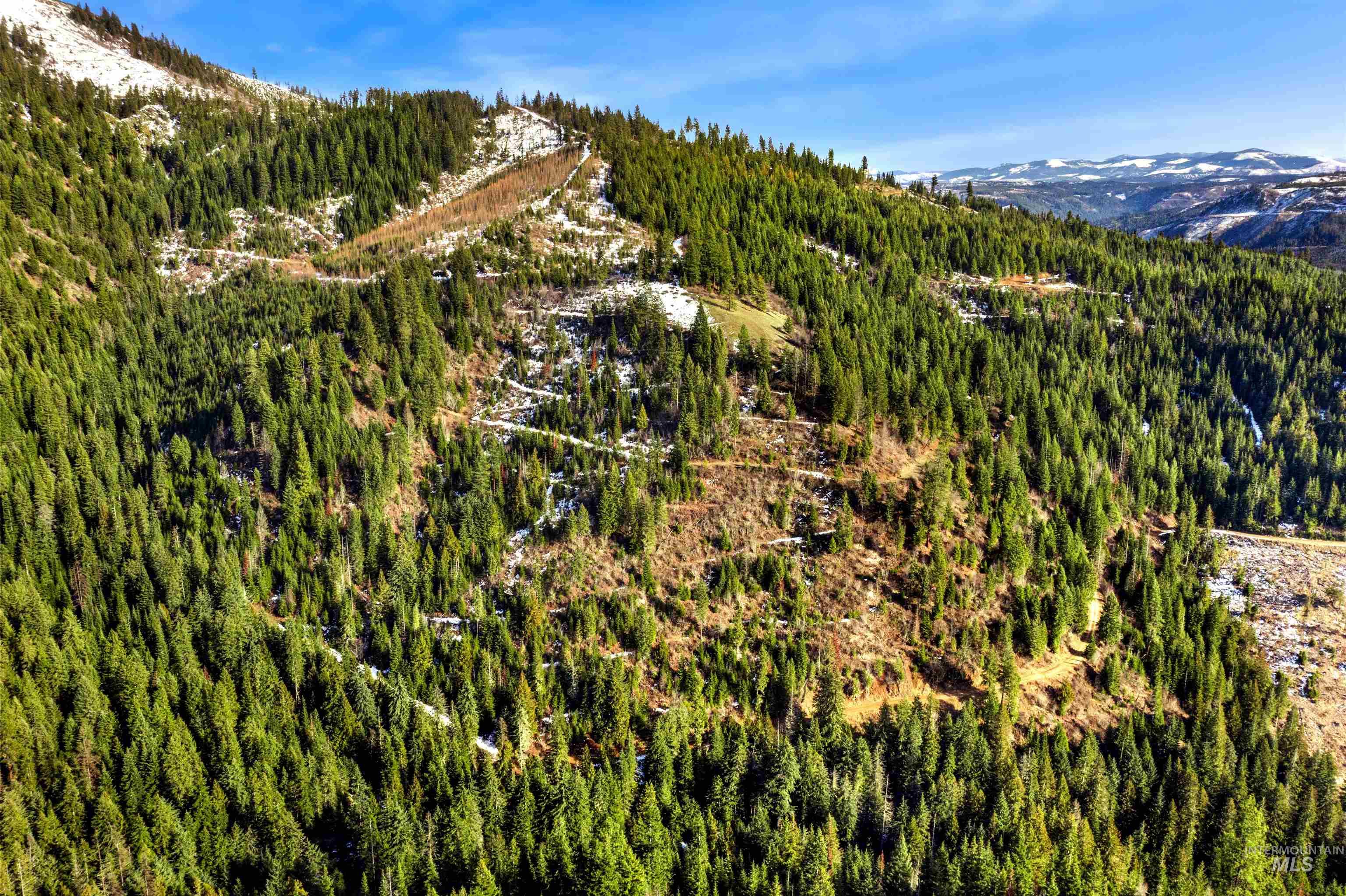 NKA Philips Draw Rd., St. Maries, Idaho 83861, Land For Sale, Price $349,900,MLS 98976917