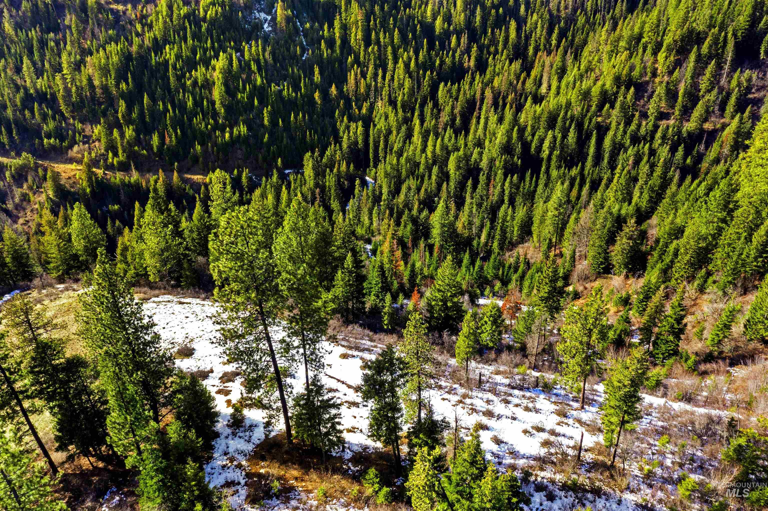 NKA Philips Draw Rd., St. Maries, Idaho 83861, Land For Sale, Price $349,900,MLS 98976917