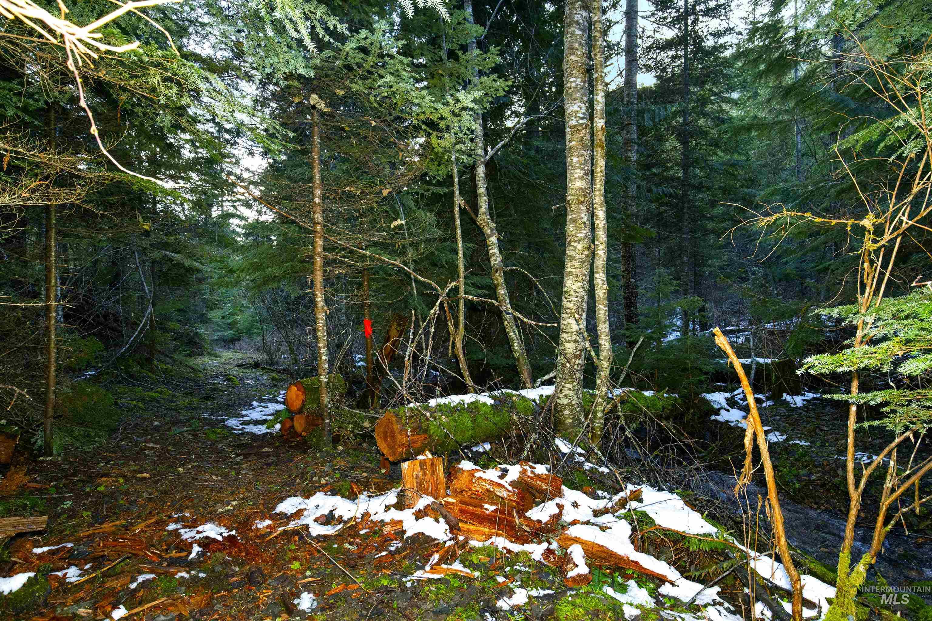 NKA Philips Draw Rd., St. Maries, Idaho 83861, Land For Sale, Price $349,900,MLS 98976917