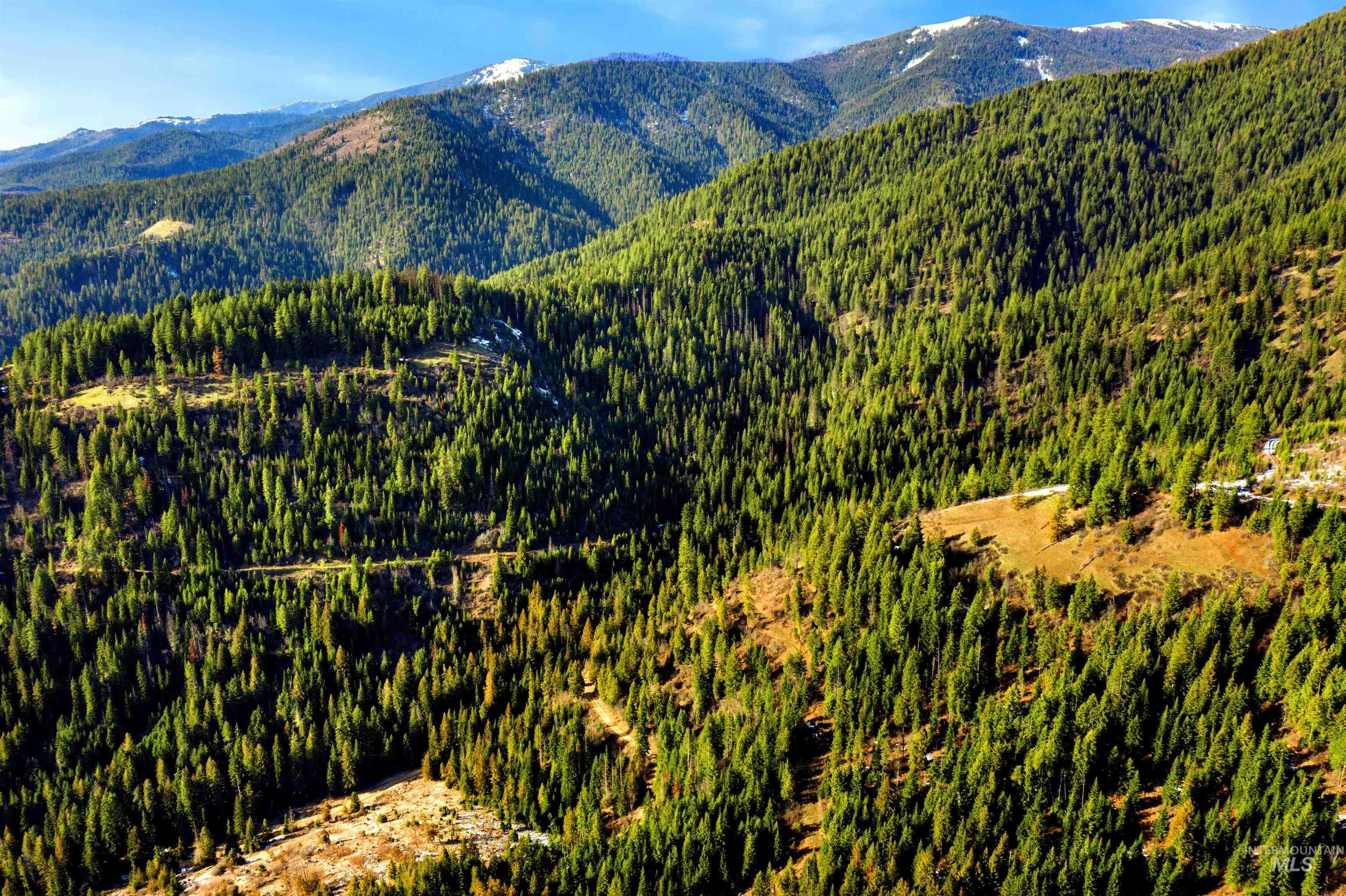 NKA Philips Draw Rd., St. Maries, Idaho 83861, Land For Sale, Price $349,900,MLS 98976917