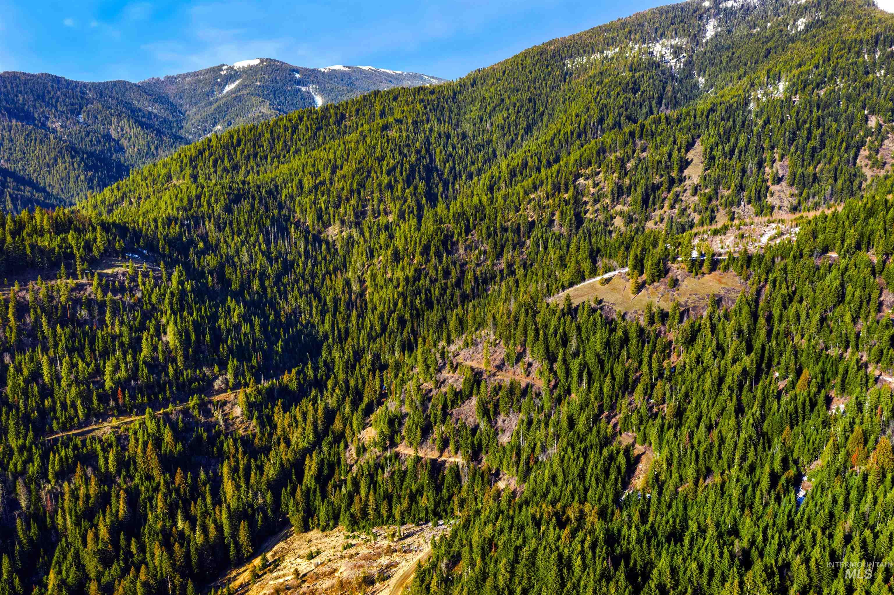 NKA Philips Draw Rd., St. Maries, Idaho 83861, Land For Sale, Price $349,900,MLS 98976917