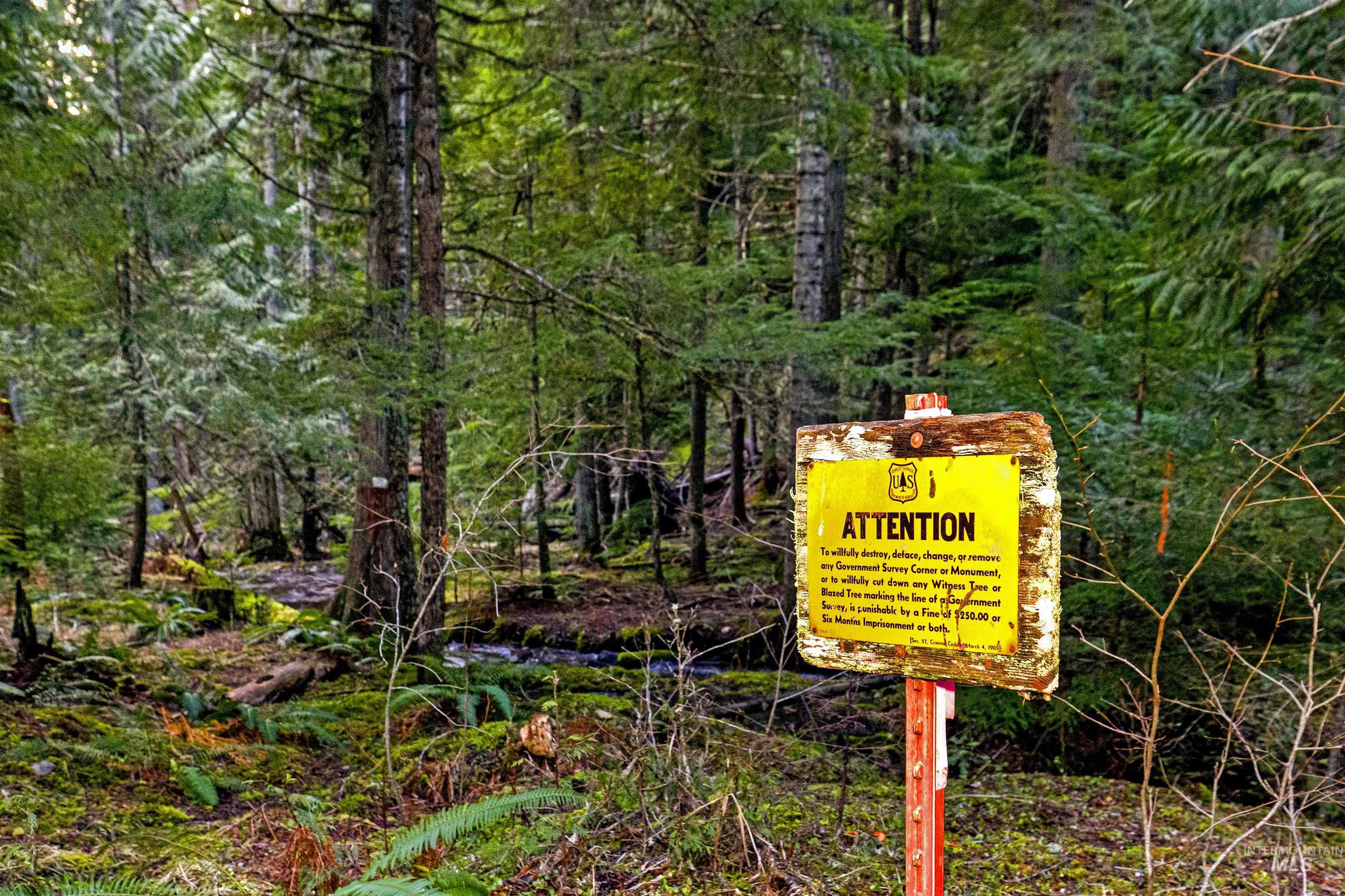 NKA Philips Draw Rd., St. Maries, Idaho 83861, Land For Sale, Price $349,900,MLS 98976917