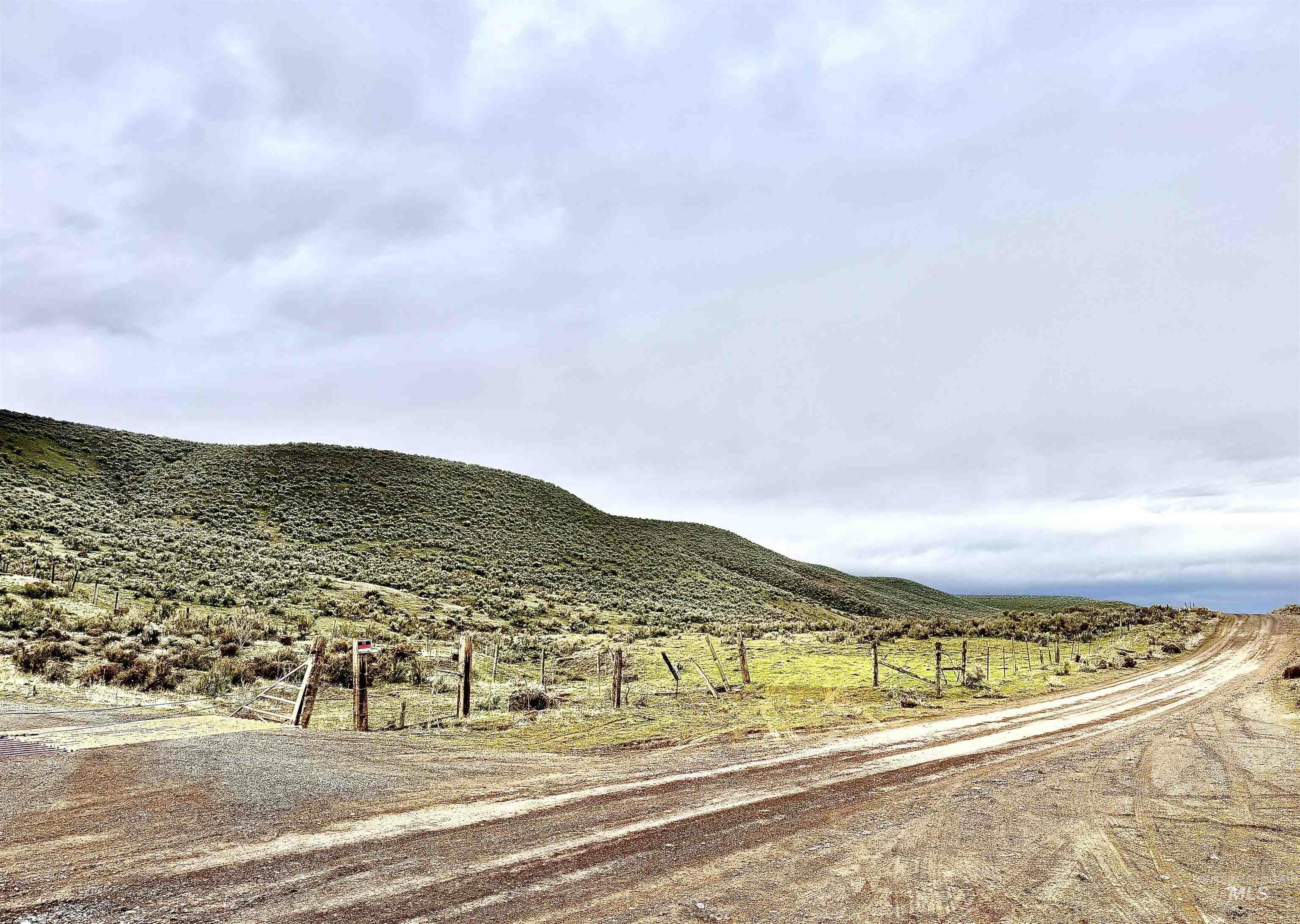 TBD Bully Creek Rd, Vale, Oregon 97918, Land For Sale, Price $250,000,MLS 98976938
