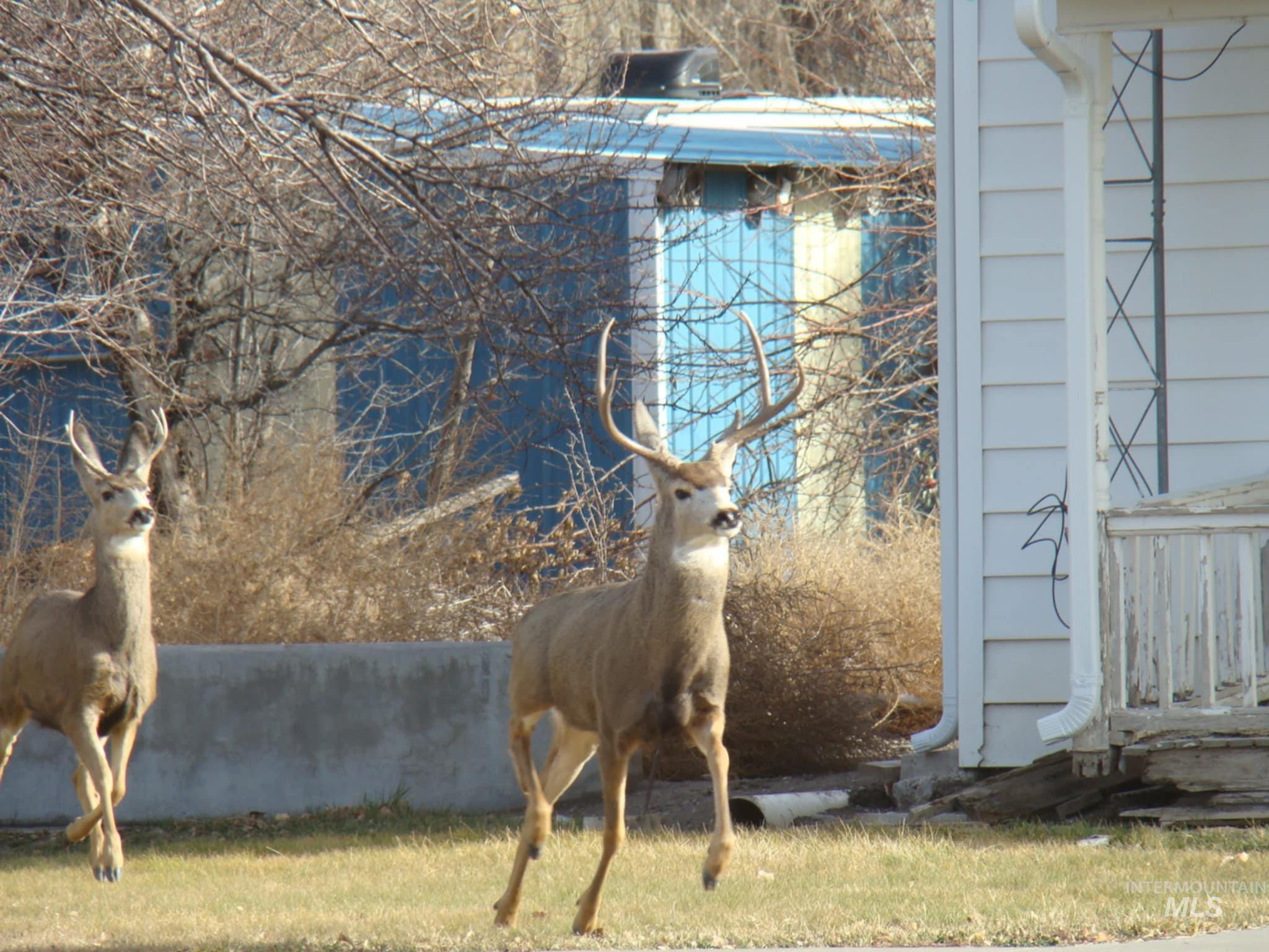 145 N Lincoln, Oakley, Idaho 83346, 2 Bedrooms, 1 Bathroom, Residential For Sale, Price $350,000,MLS 98976954