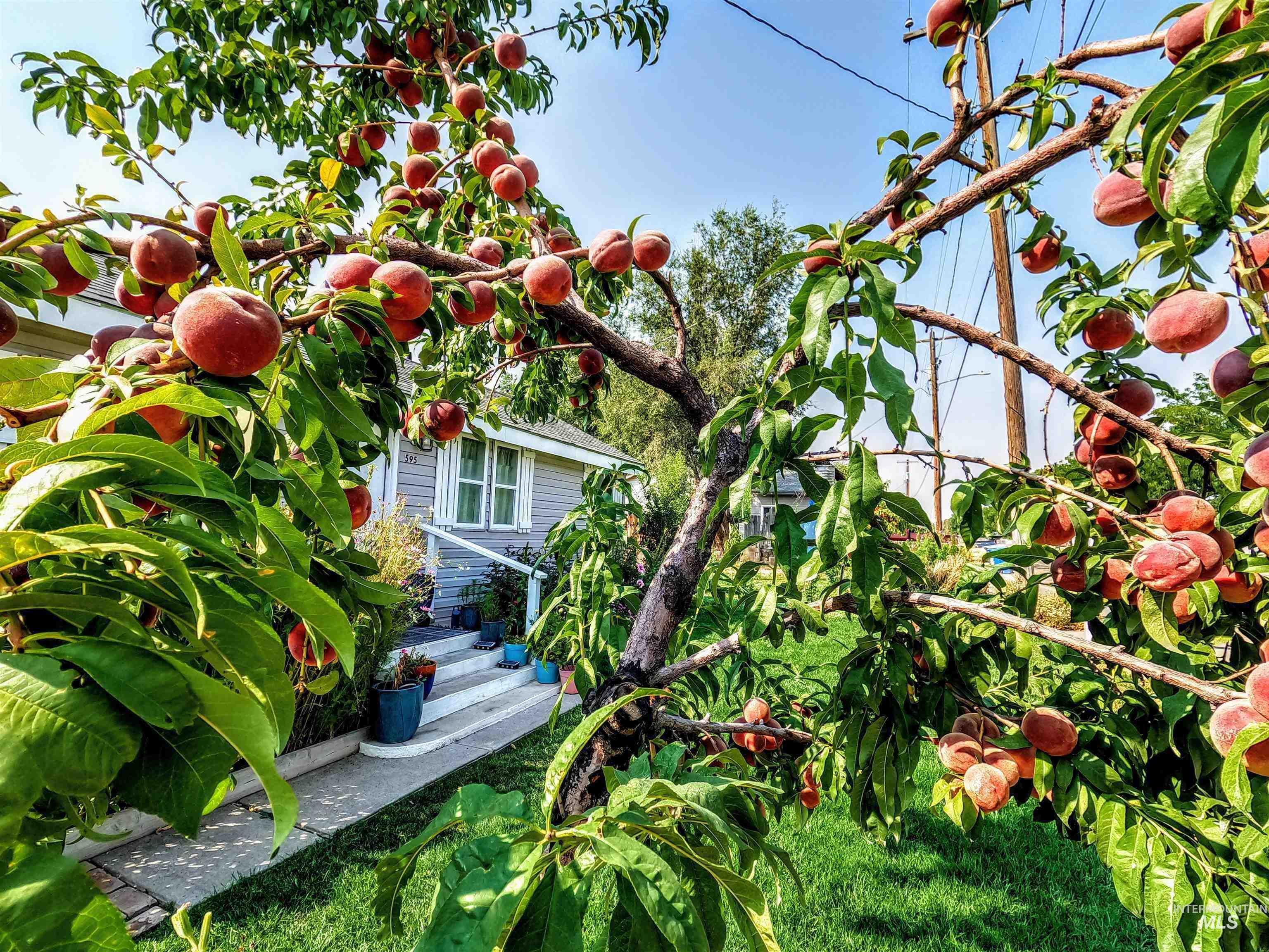 595 S 14th E, Mountain Home, Idaho 83647, 3 Bedrooms, 1.5 Bathrooms, Residential For Sale, Price $269,000, 98977011