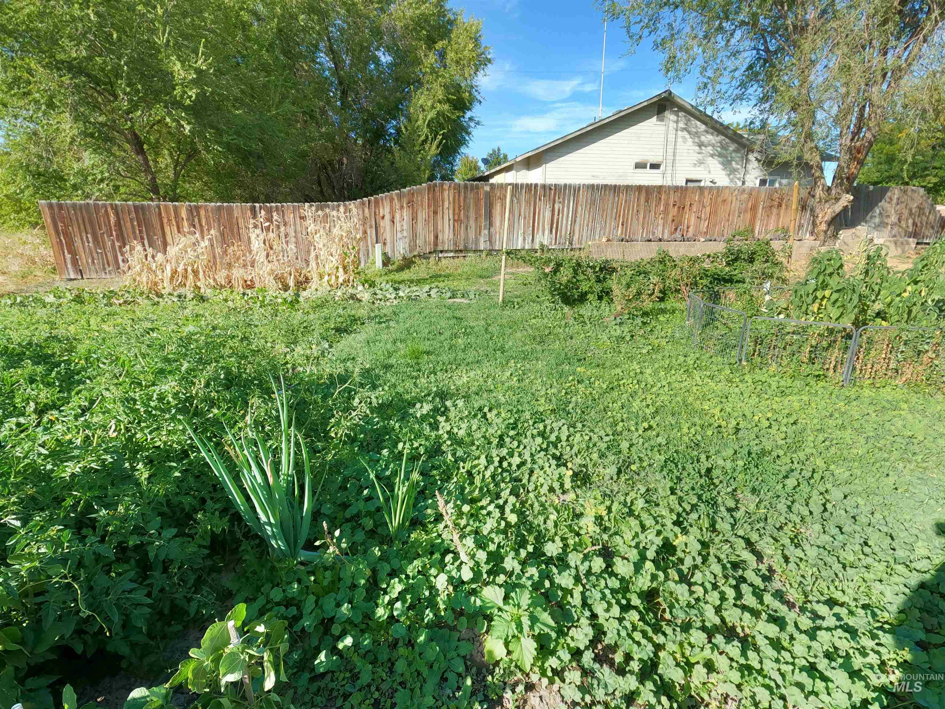 595 S 14th E, Mountain Home, Idaho 83647, 3 Bedrooms, 1.5 Bathrooms, Residential For Sale, Price $269,000, 98977011