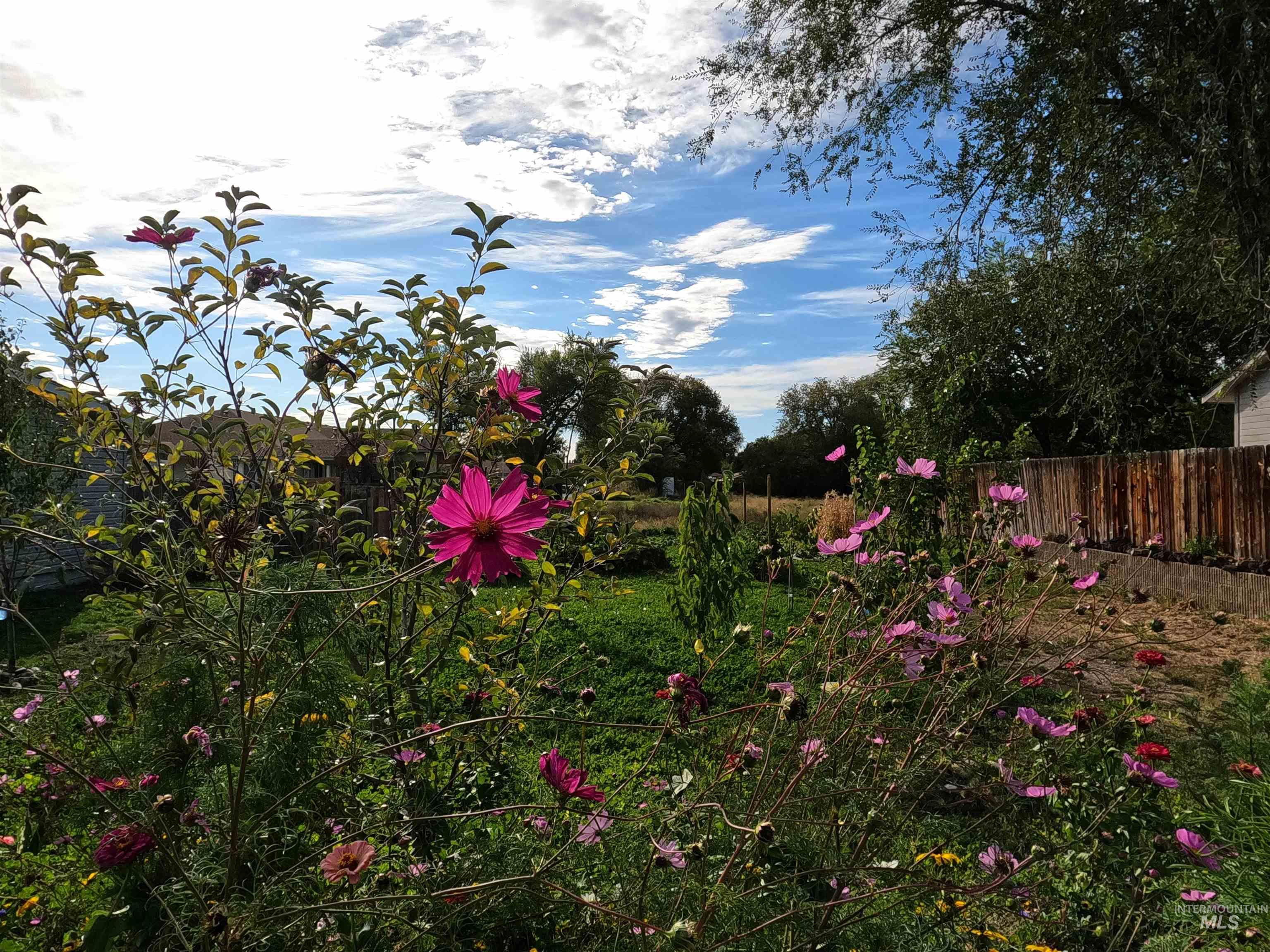 595 S 14th E, Mountain Home, Idaho 83647, 3 Bedrooms, 1.5 Bathrooms, Residential For Sale, Price $269,000, 98977011