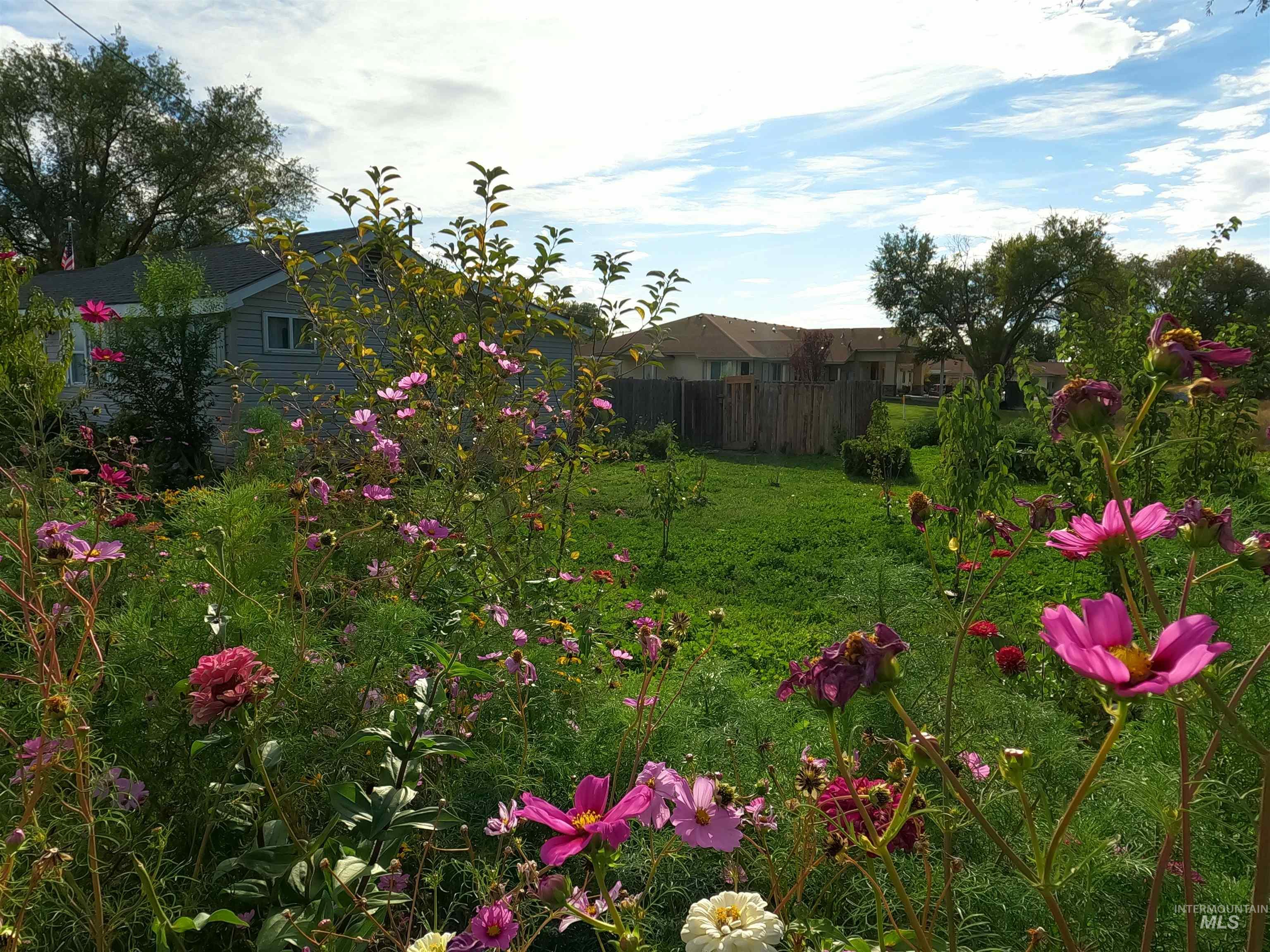 595 S 14th E, Mountain Home, Idaho 83647, 3 Bedrooms, 1.5 Bathrooms, Residential For Sale, Price $269,000, 98977011