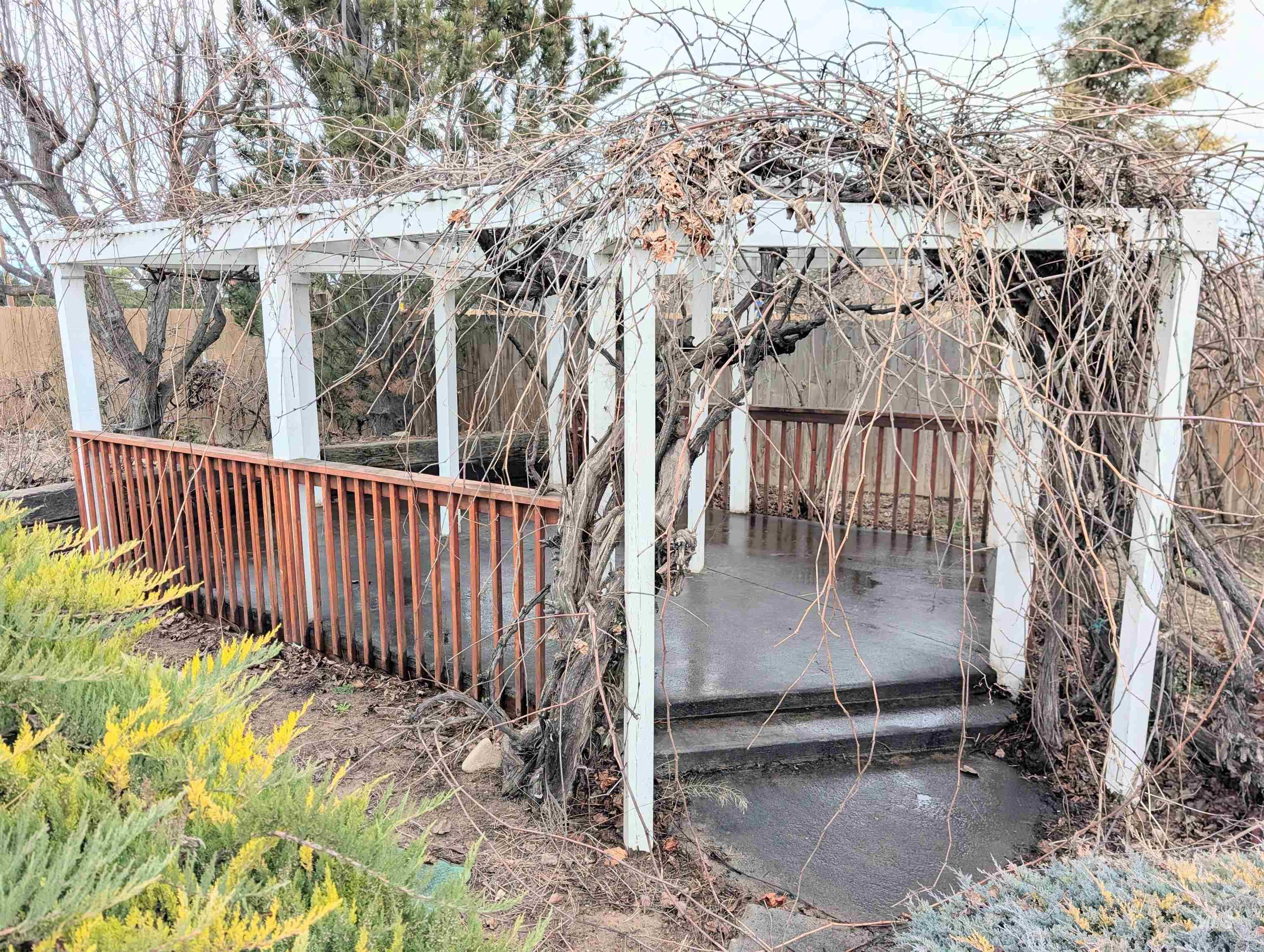 24963 Fox Ridge Dr, Caldwell, Idaho 83607, 3 Bedrooms, 2 Bathrooms, Residential For Sale, Price $1,MLS 98977056