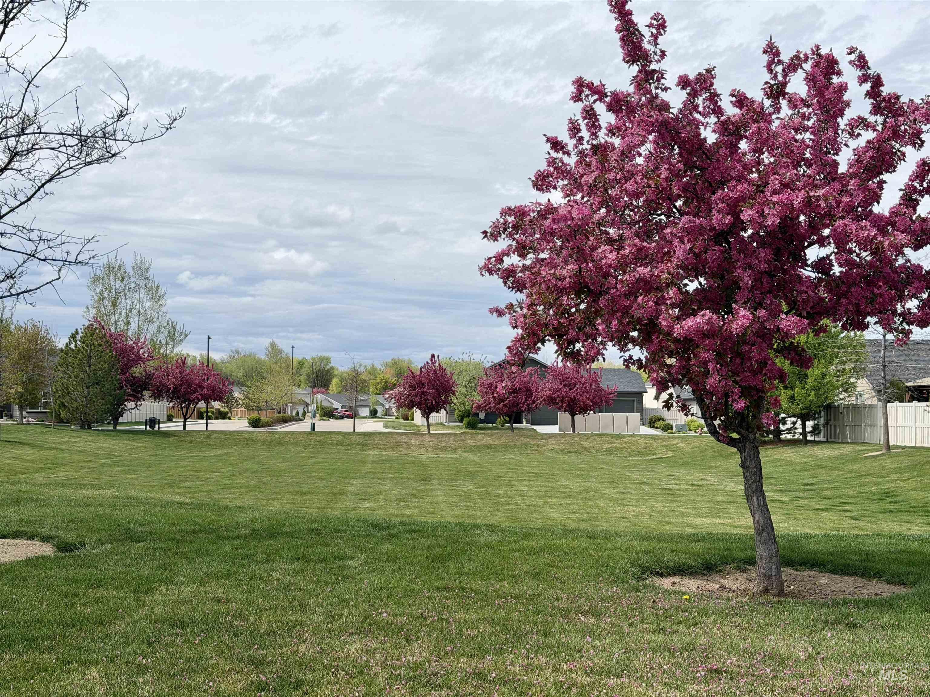 310 S Voyage Ave, Caldwell, Idaho 83605, 3 Bedrooms, 2 Bathrooms, Residential For Sale, Price $430,000,MLS 98977059