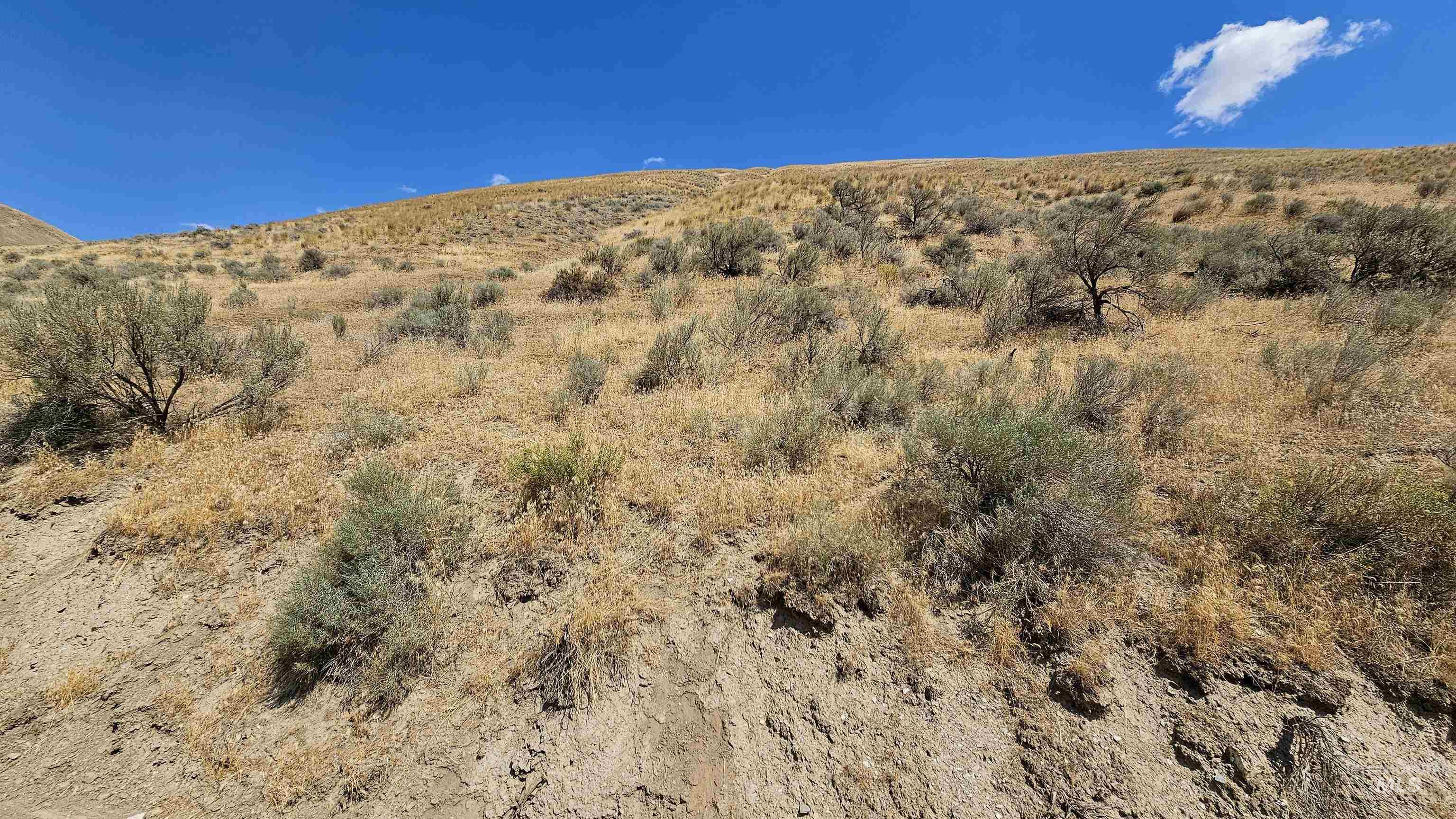 TBD 2 Parcels Rock Creek Rd, Weiser, Idaho 83672, Land For Sale, Price $60,000,MLS 98977060