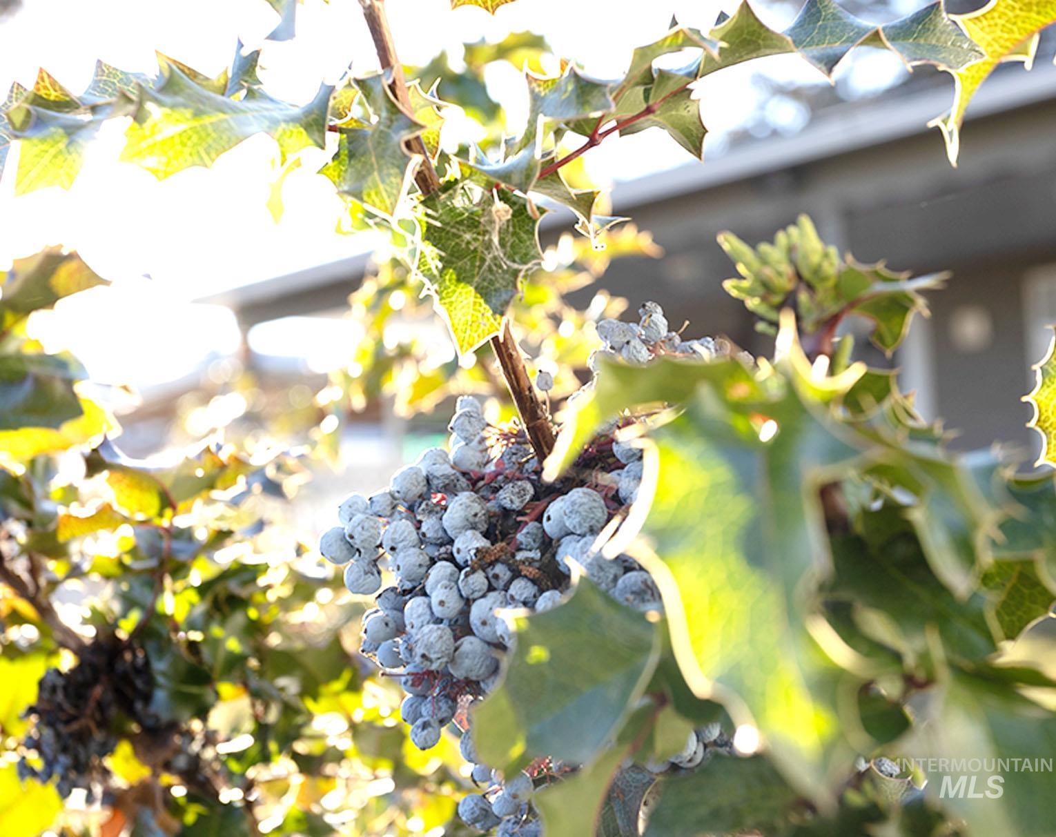 6414 W Randolph Dr, Boise, Idaho 83709-2162, 3 Bedrooms, 3 Bathrooms, Residential For Sale, Price $699,900,MLS 98977163