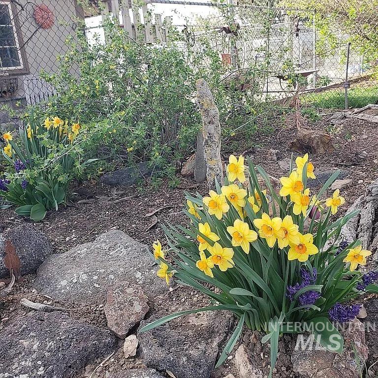 8502 Track Road, Nampa, Idaho 83686, 1 Bedroom, 1 Bathroom, Residential For Sale, Price $959,000,MLS 98977166