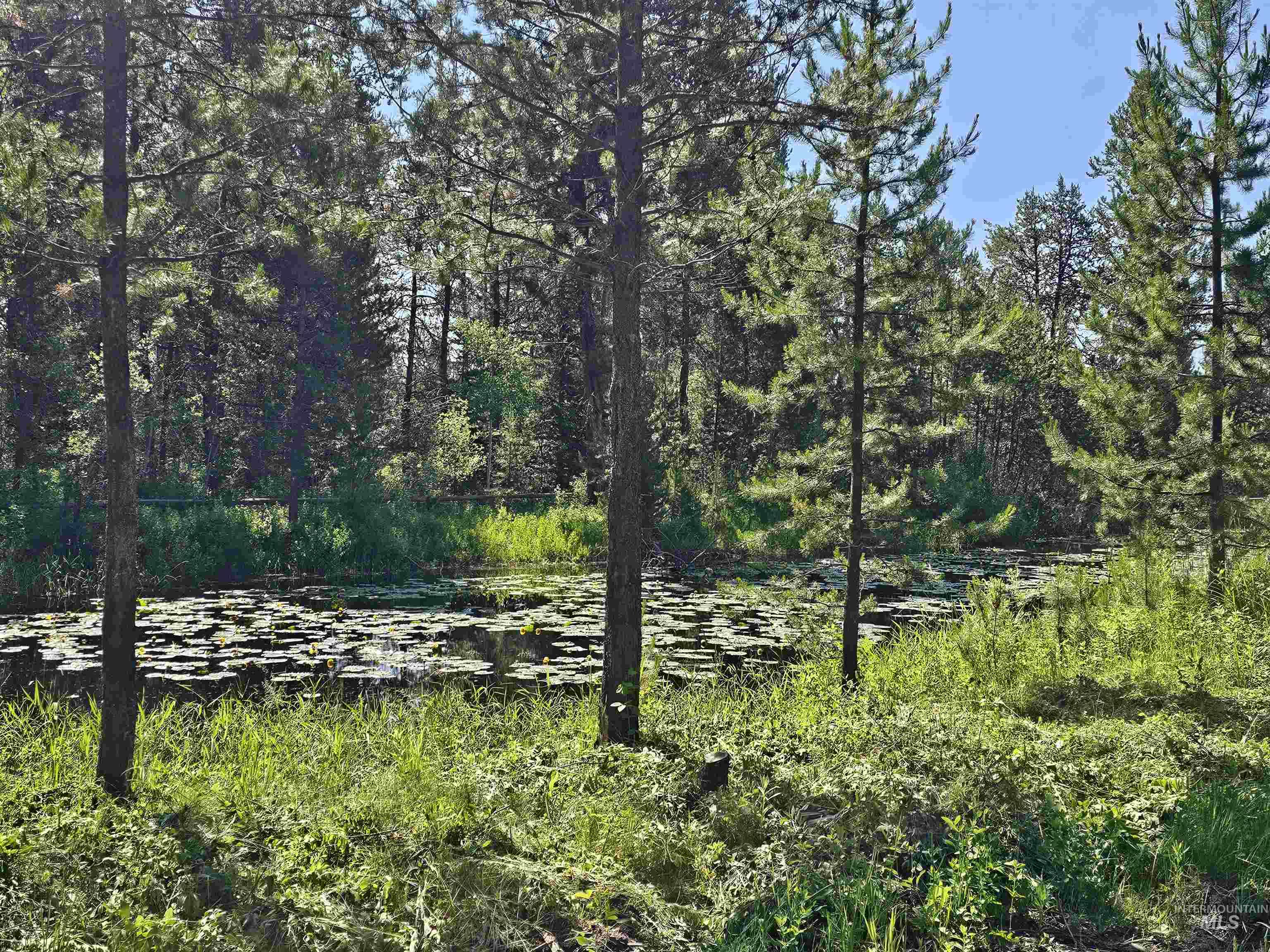 12930 Dawn Dr., Donnelly, Idaho 83615, 5 Bedrooms, 3.5 Bathrooms, Residential For Sale, Price $1,575,000,MLS 98977182