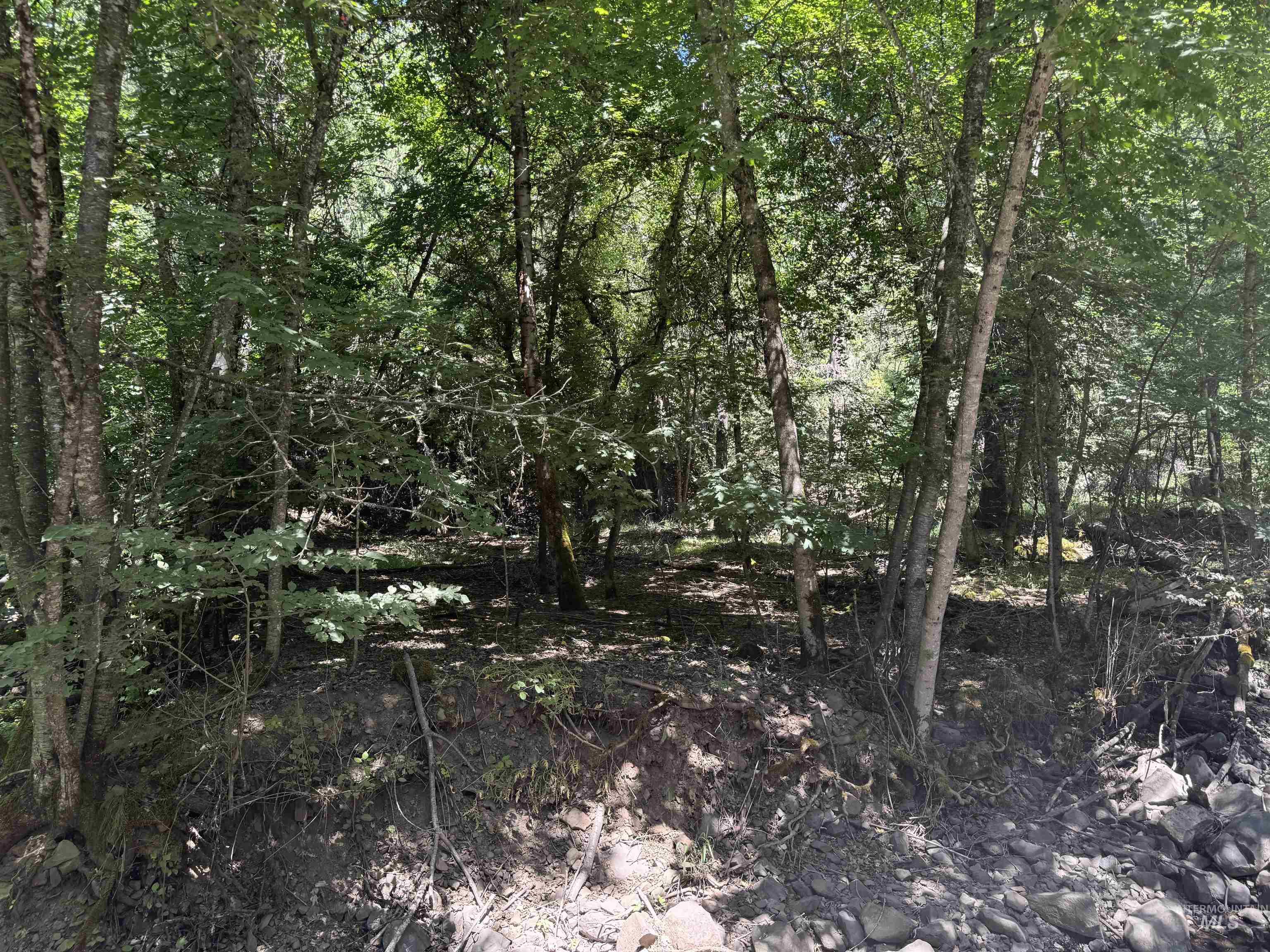 187 Deer Creek Rd, Orofino, Idaho 83544, Land For Sale, Price $45,000,MLS 98977208