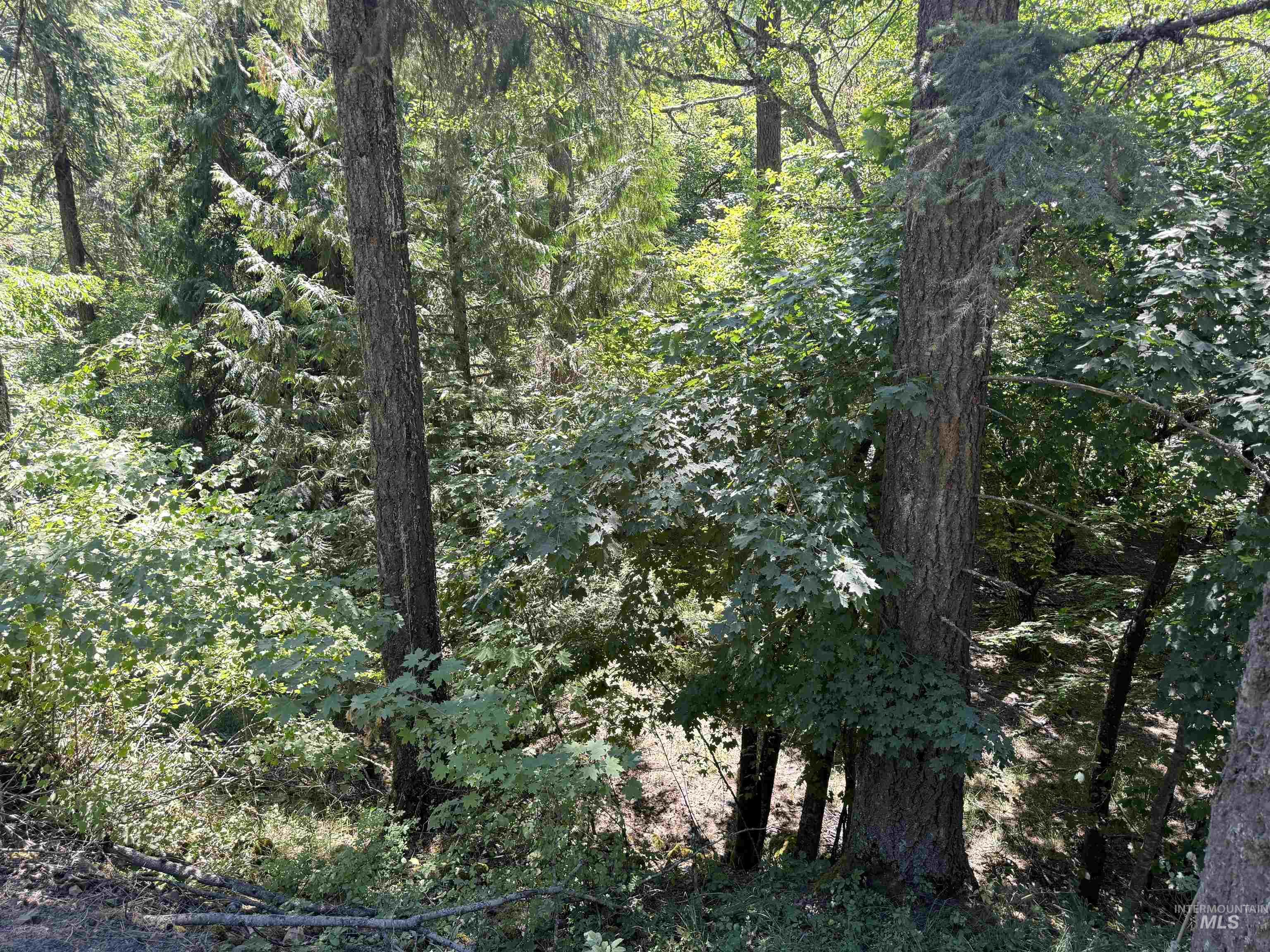 187 Deer Creek Rd, Orofino, Idaho 83544, Land For Sale, Price $45,000,MLS 98977208