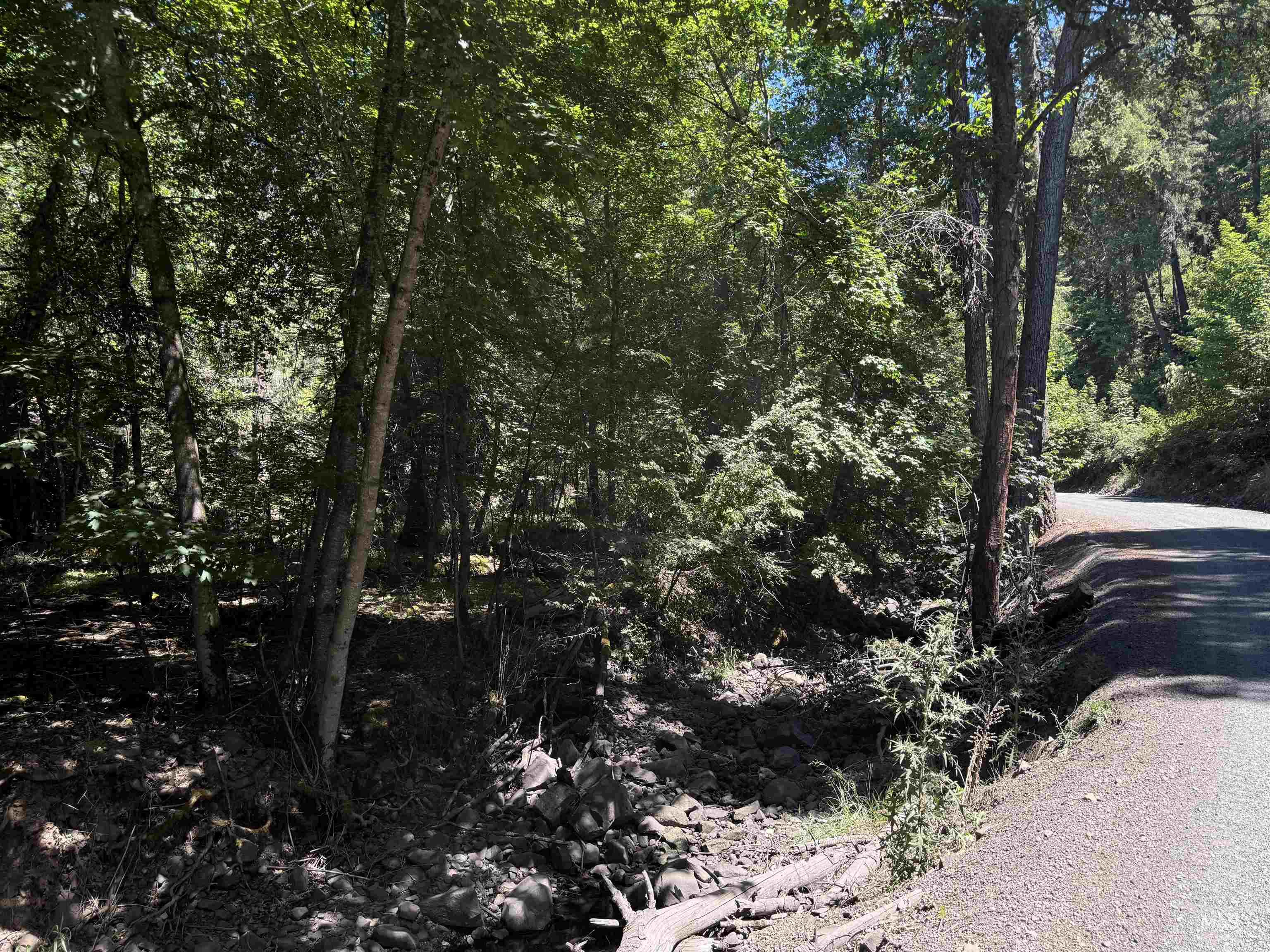 187 Deer Creek Rd, Orofino, Idaho 83544, Land For Sale, Price $45,000,MLS 98977208