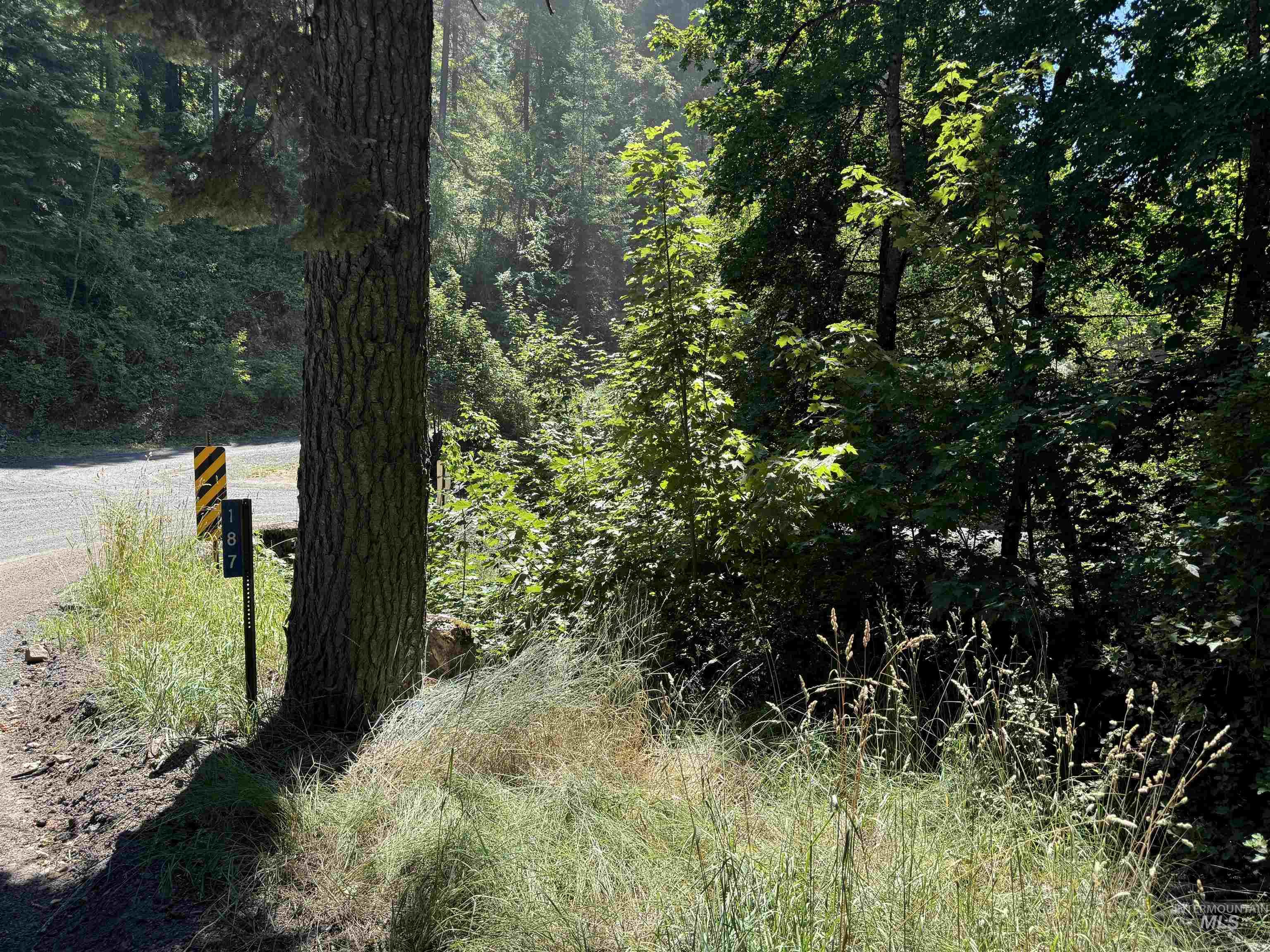 187 Deer Creek Rd, Orofino, Idaho 83544, Land For Sale, Price $45,000,MLS 98977208