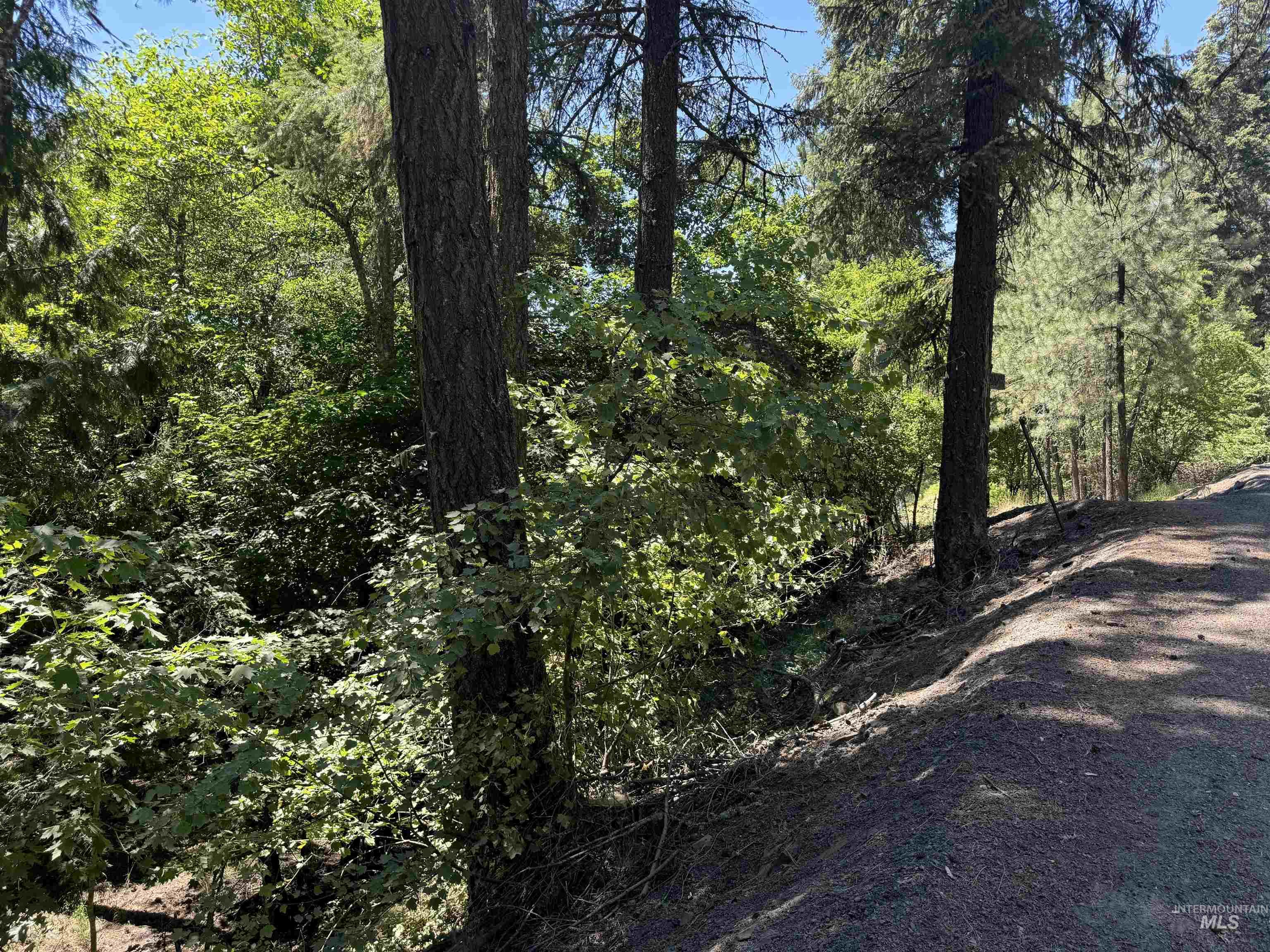 187 Deer Creek Rd, Orofino, Idaho 83544, Land For Sale, Price $45,000,MLS 98977208