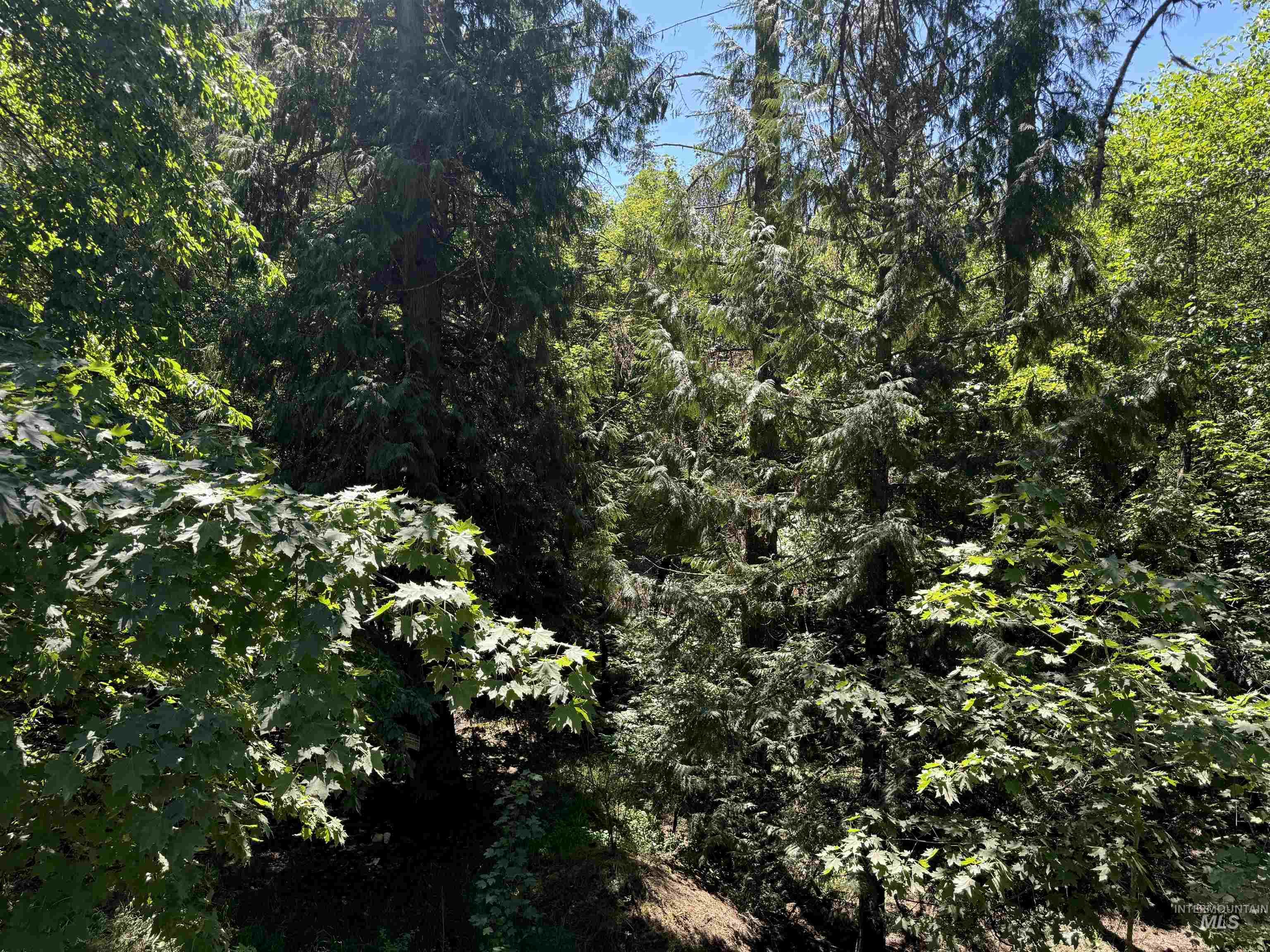 187 Deer Creek Rd, Orofino, Idaho 83544, Land For Sale, Price $45,000,MLS 98977208