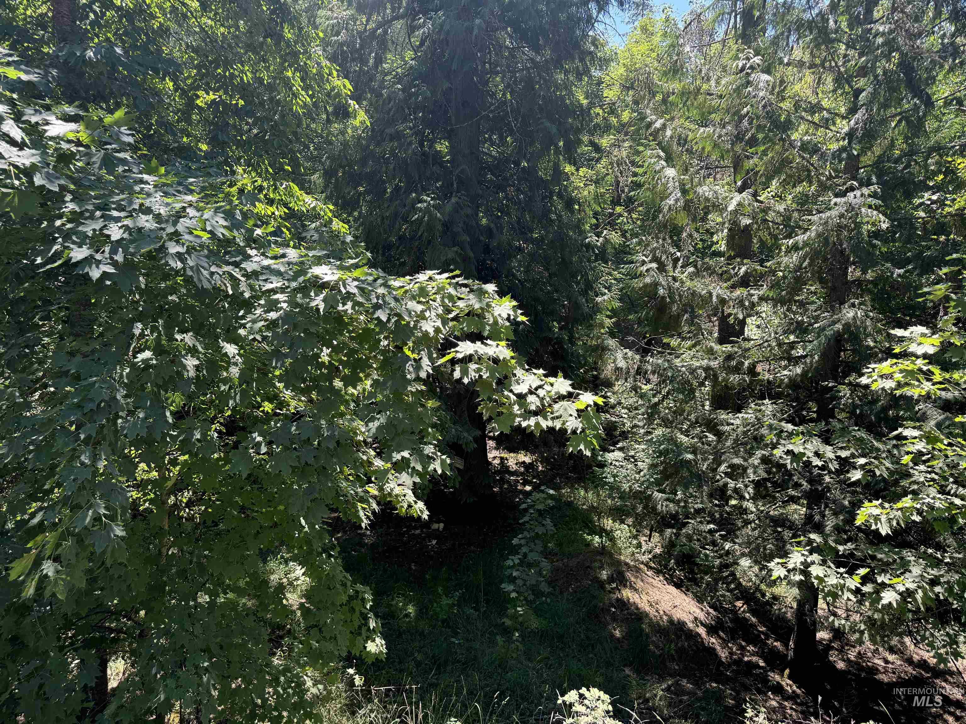 187 Deer Creek Rd, Orofino, Idaho 83544, Land For Sale, Price $45,000,MLS 98977208