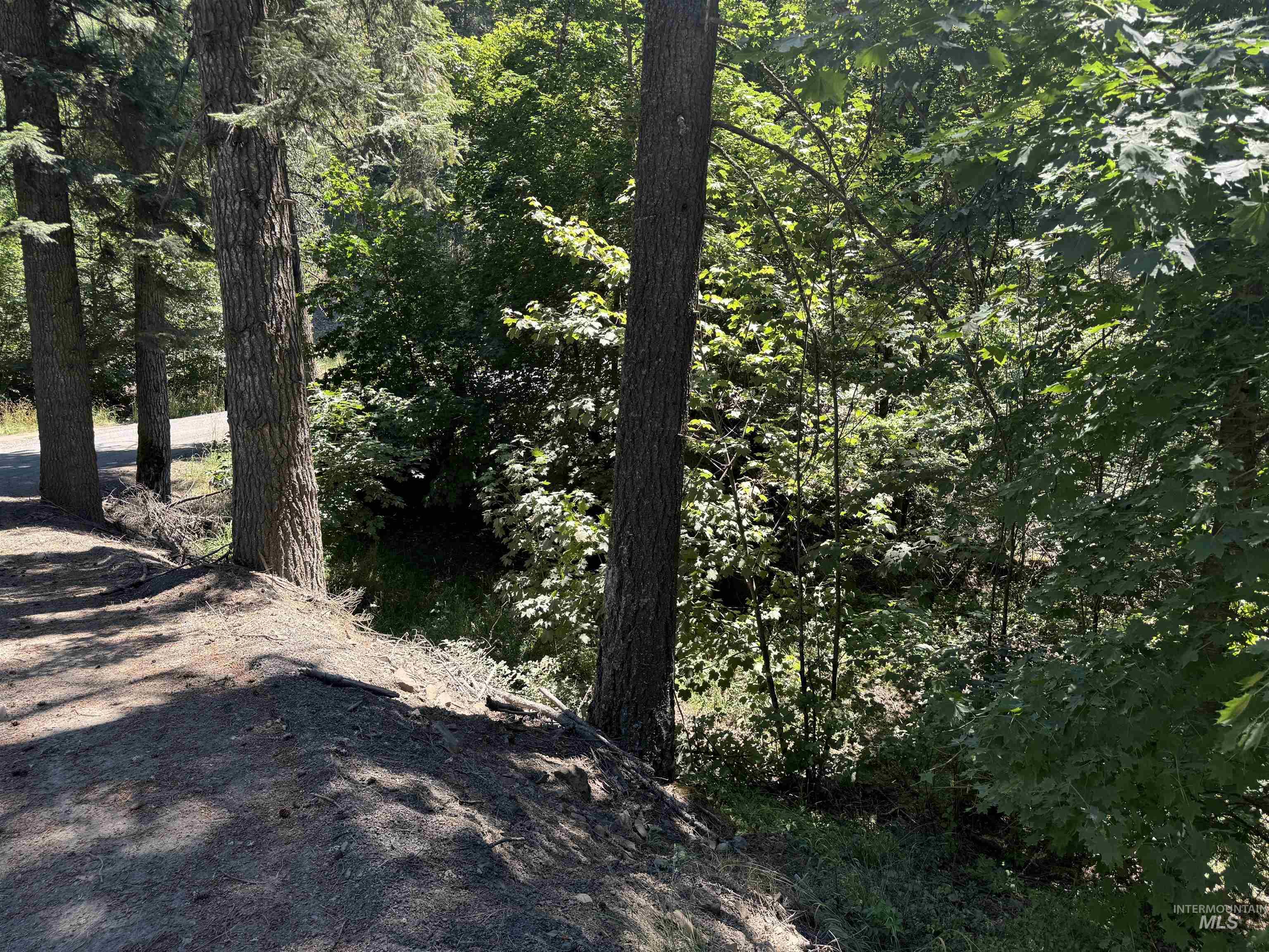 187 Deer Creek Rd, Orofino, Idaho 83544, Land For Sale, Price $45,000,MLS 98977208