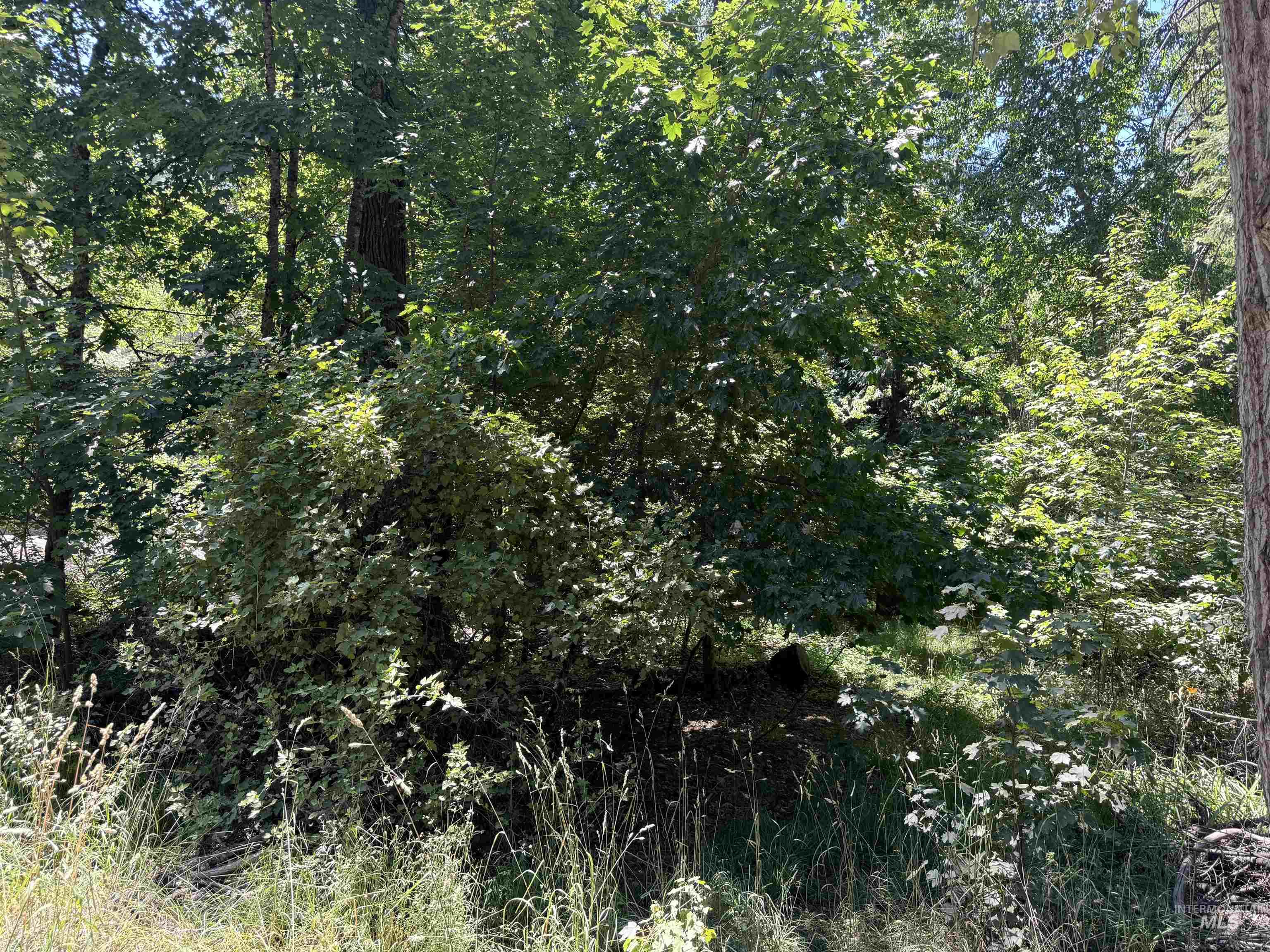 187 Deer Creek Rd, Orofino, Idaho 83544, Land For Sale, Price $45,000,MLS 98977208