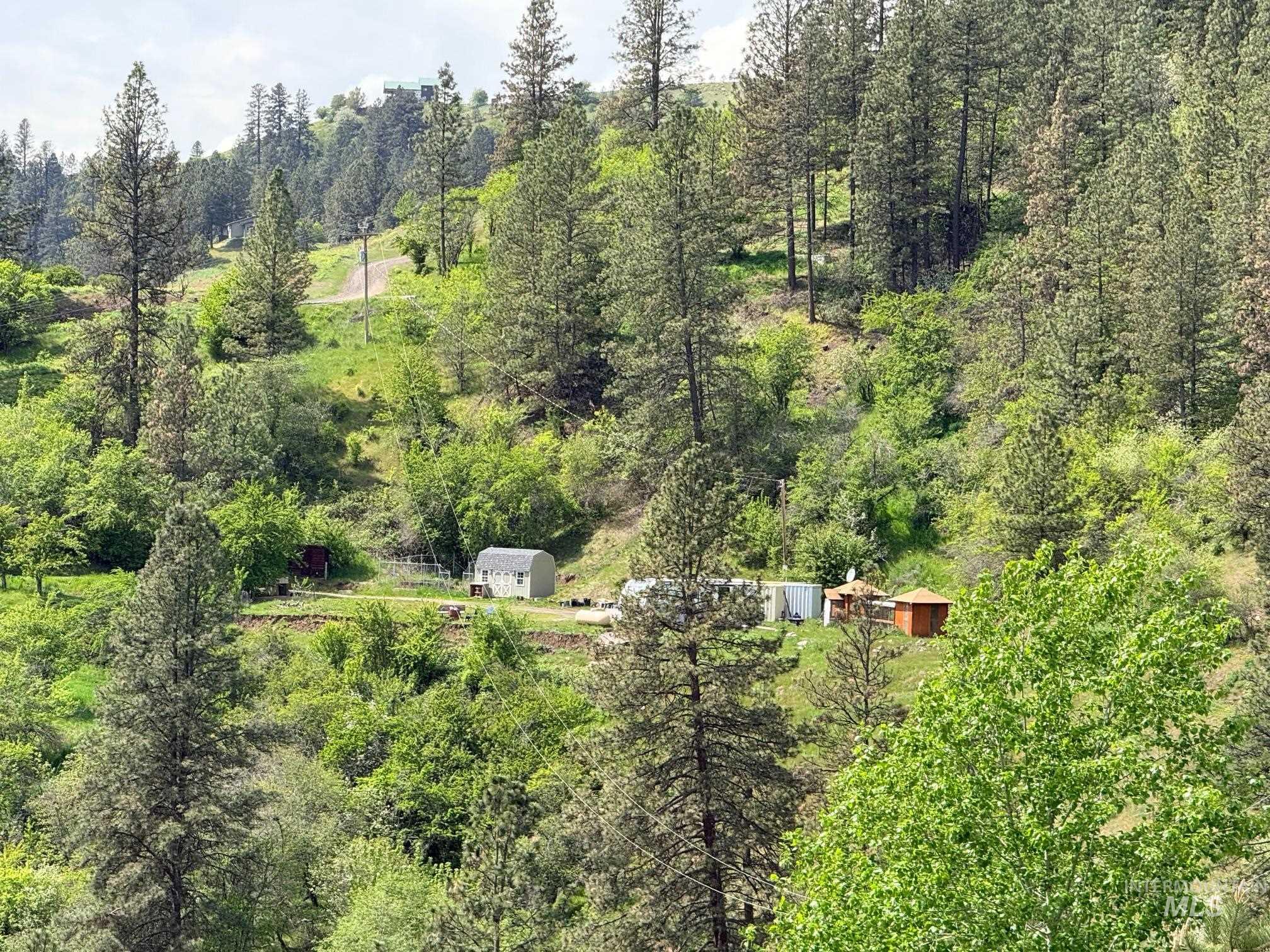 620 Old Peck Grade, Lenore, Idaho 83541, Land For Sale, Price $300,000, 98977220