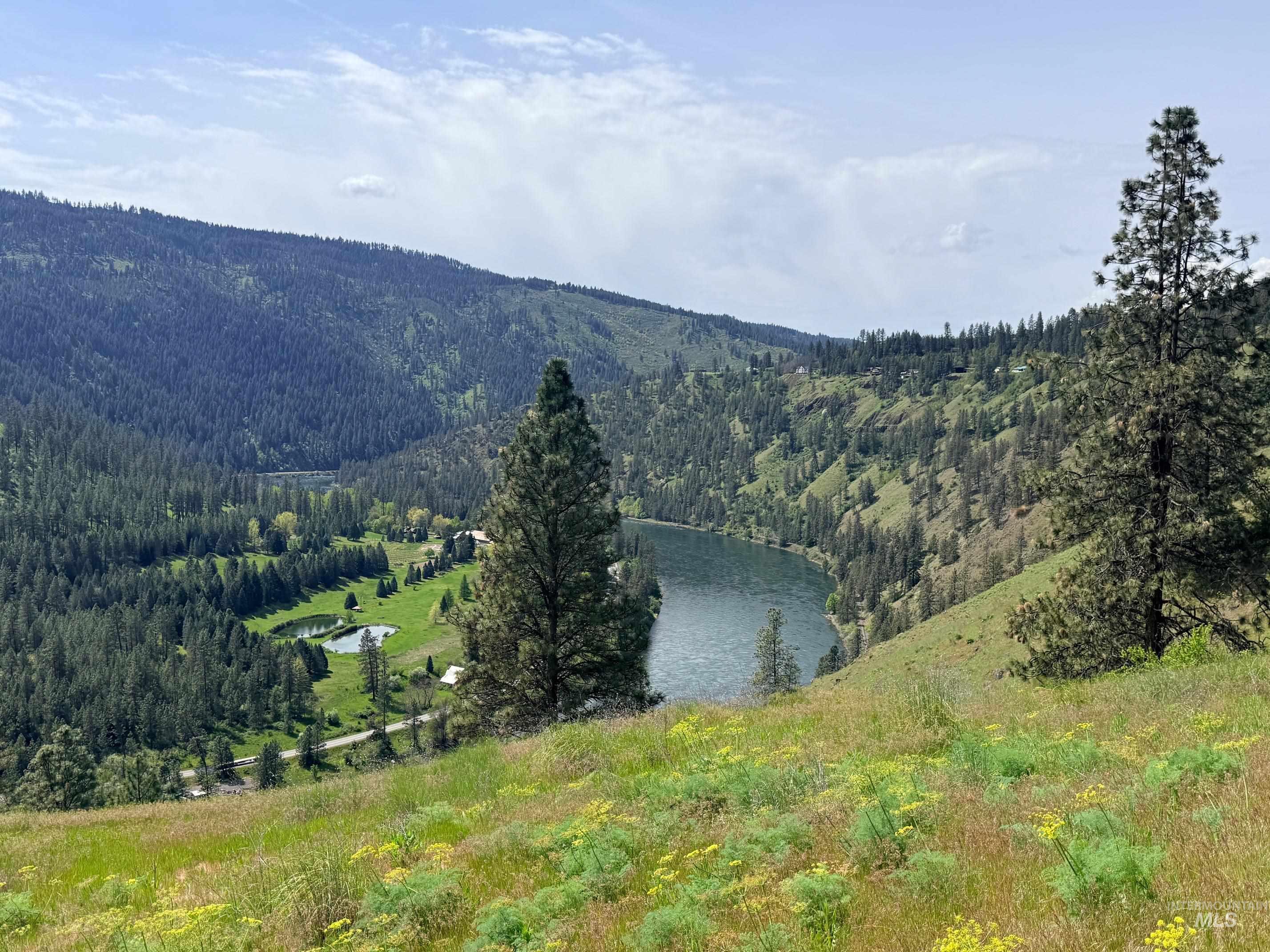 620 Old Peck Grade, Lenore, Idaho 83541, Land For Sale, Price $300,000, 98977220