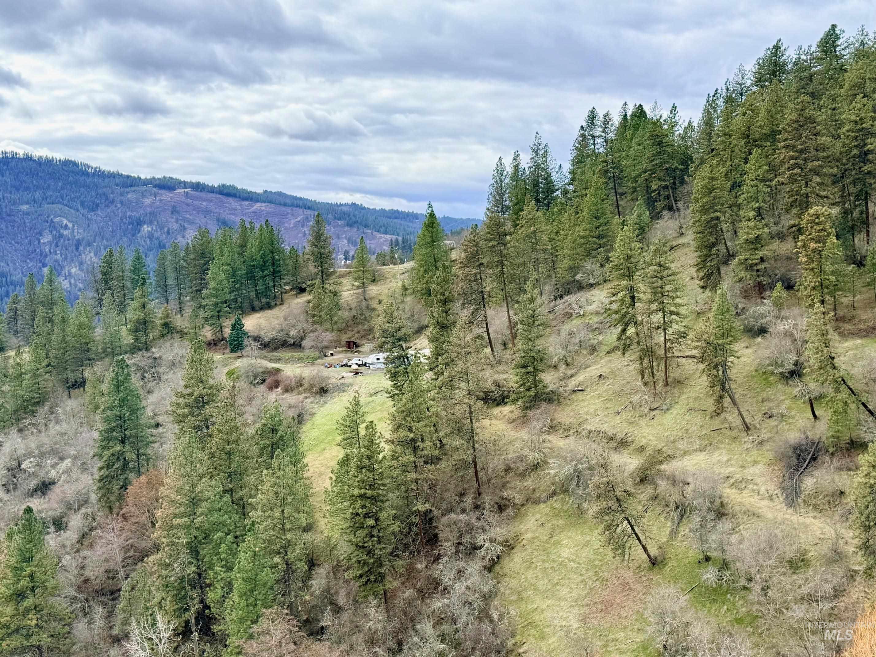 620 Old Peck Grade, Lenore, Idaho 83541, Land For Sale, Price $300,000,MLS 98977220