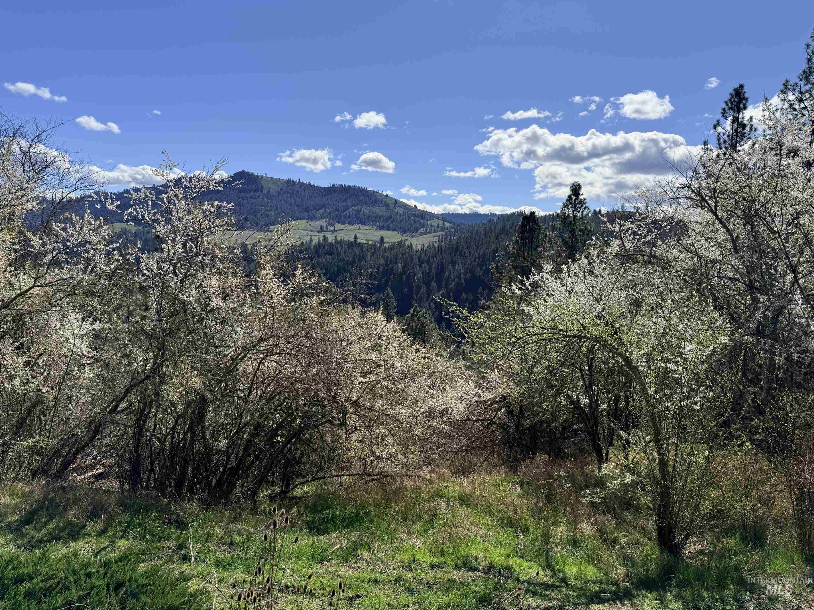 620 Old Peck Grade, Lenore, Idaho 83541, Land For Sale, Price $300,000, 98977220
