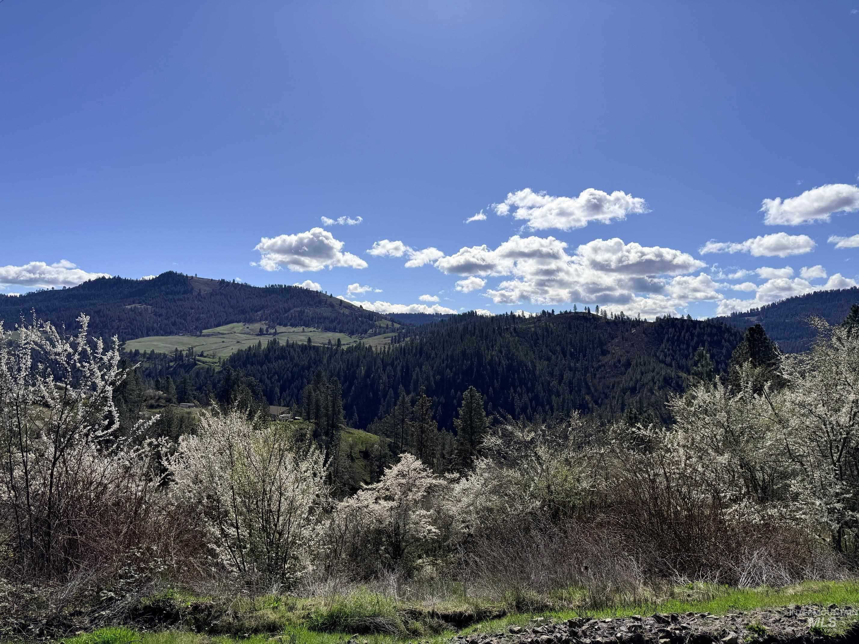 620 Old Peck Grade, Lenore, Idaho 83541, Land For Sale, Price $300,000, 98977220