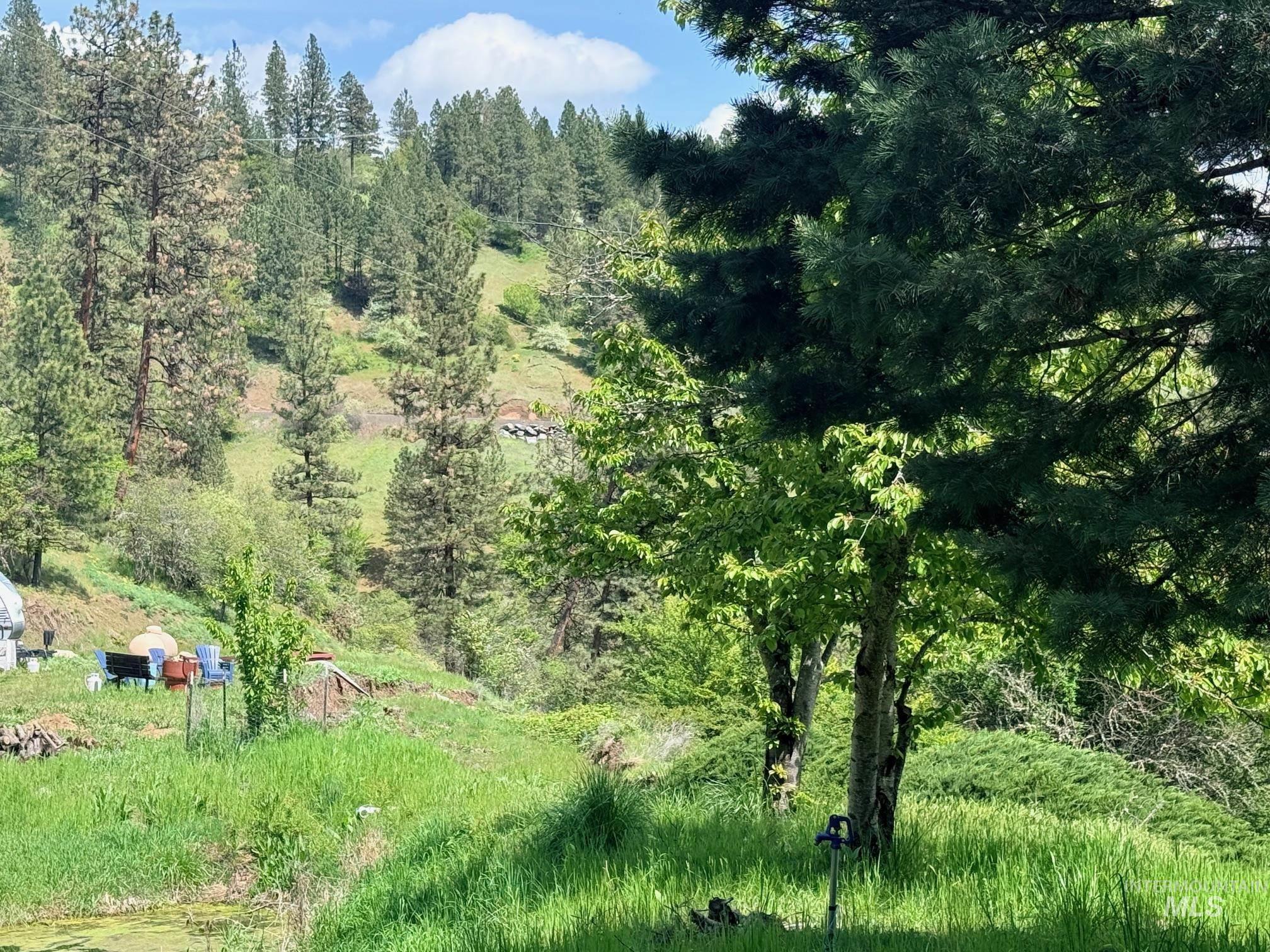 620 Old Peck Grade, Lenore, Idaho 83541, Land For Sale, Price $300,000, 98977220