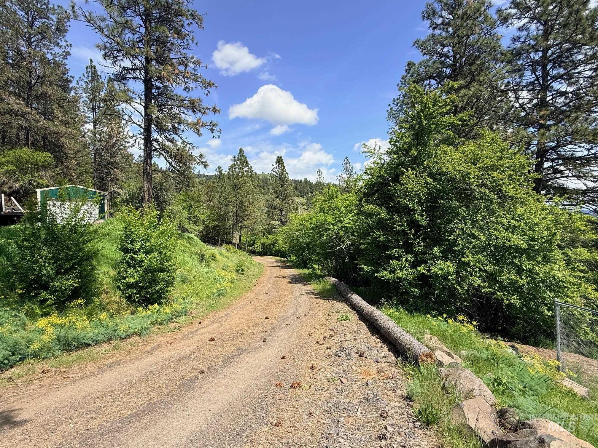 620 Old Peck Grade, Lenore, Idaho 83541, Land For Sale, Price $300,000, 98977220