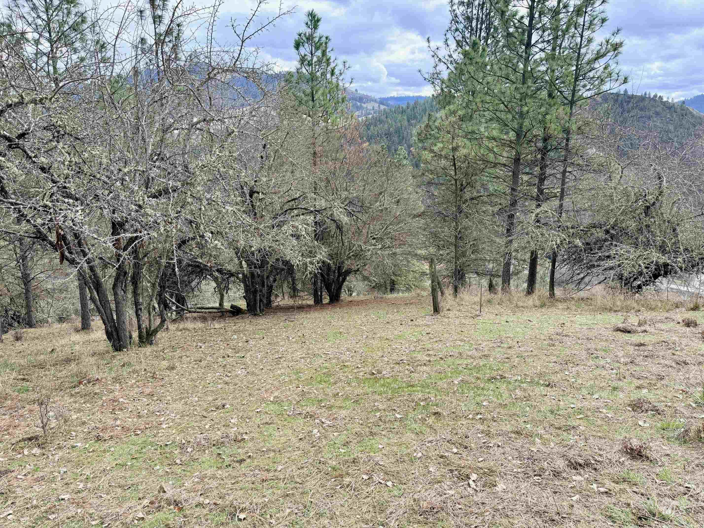 620 Old Peck Grade, Lenore, Idaho 83541, Land For Sale, Price $300,000,MLS 98977220