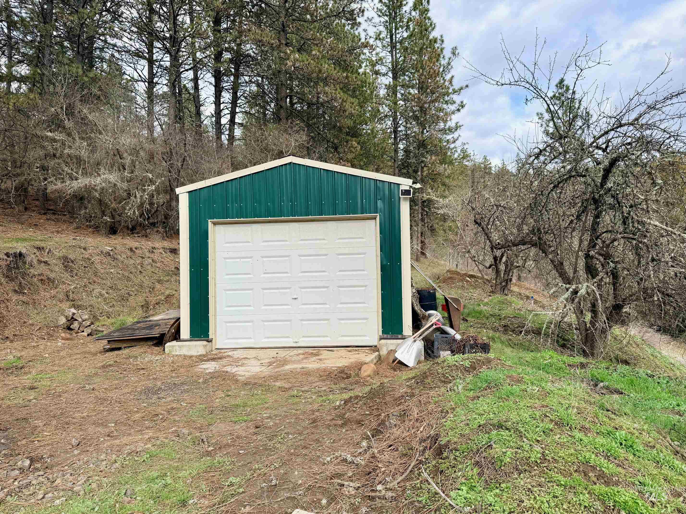 620 Old Peck Grade, Lenore, Idaho 83541, Land For Sale, Price $293,000, 98977220
