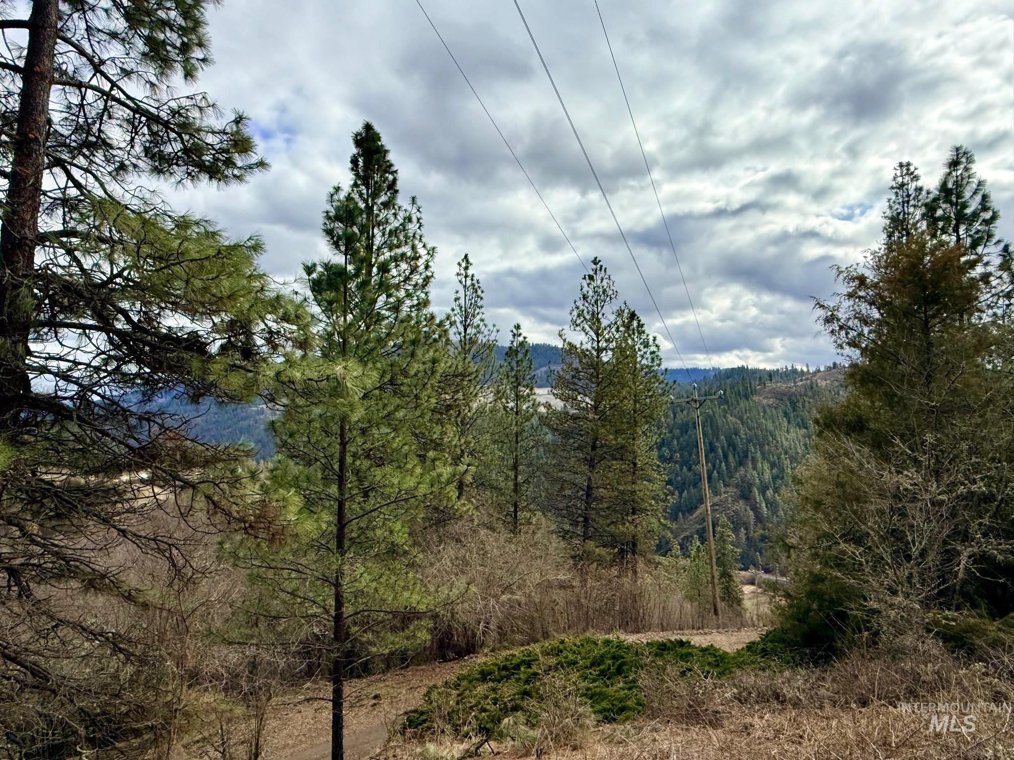 620 Old Peck Grade, Lenore, Idaho 83541, Land For Sale, Price $300,000,MLS 98977220