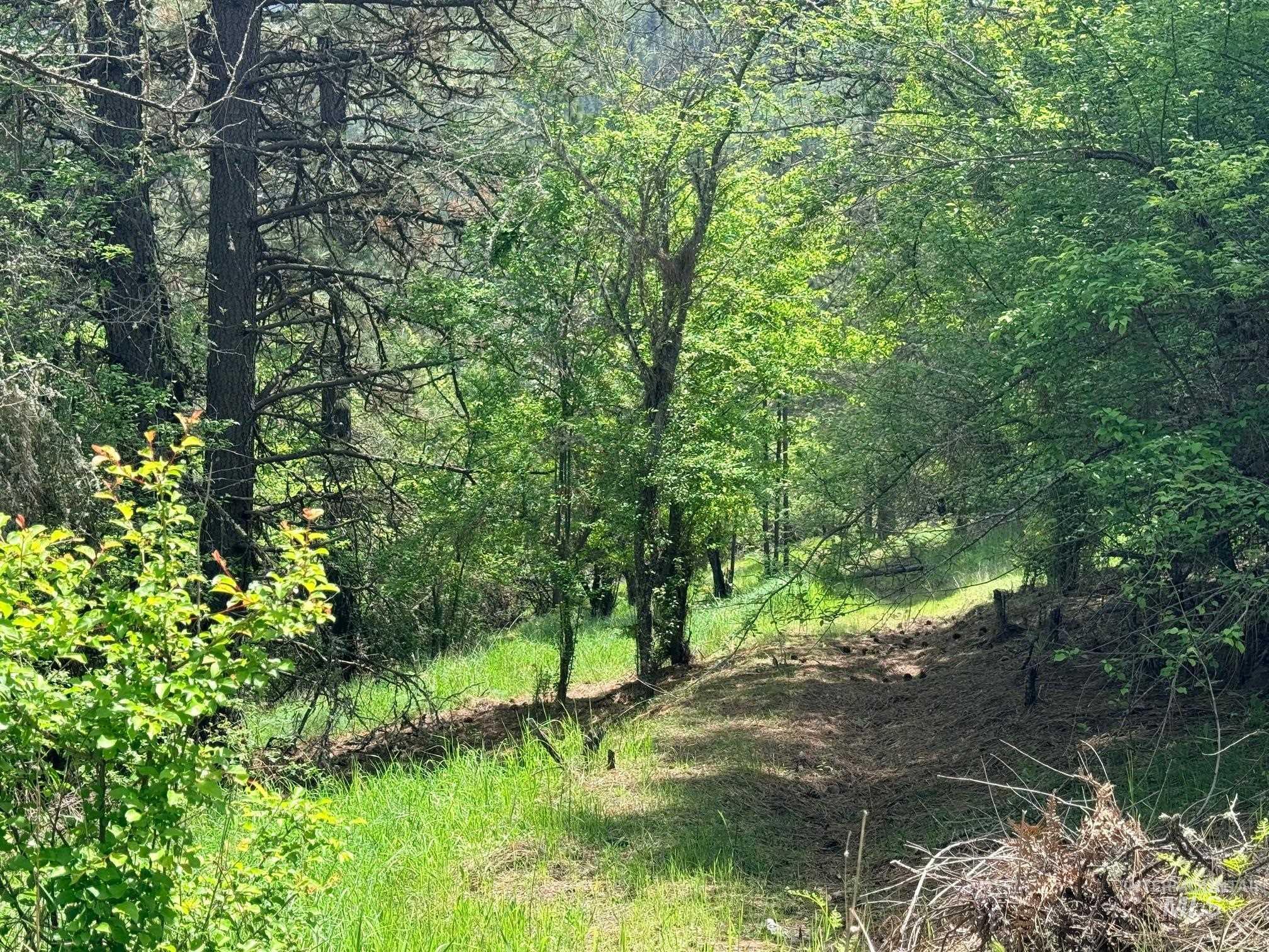 620 Old Peck Grade, Lenore, Idaho 83541, Land For Sale, Price $300,000, 98977220
