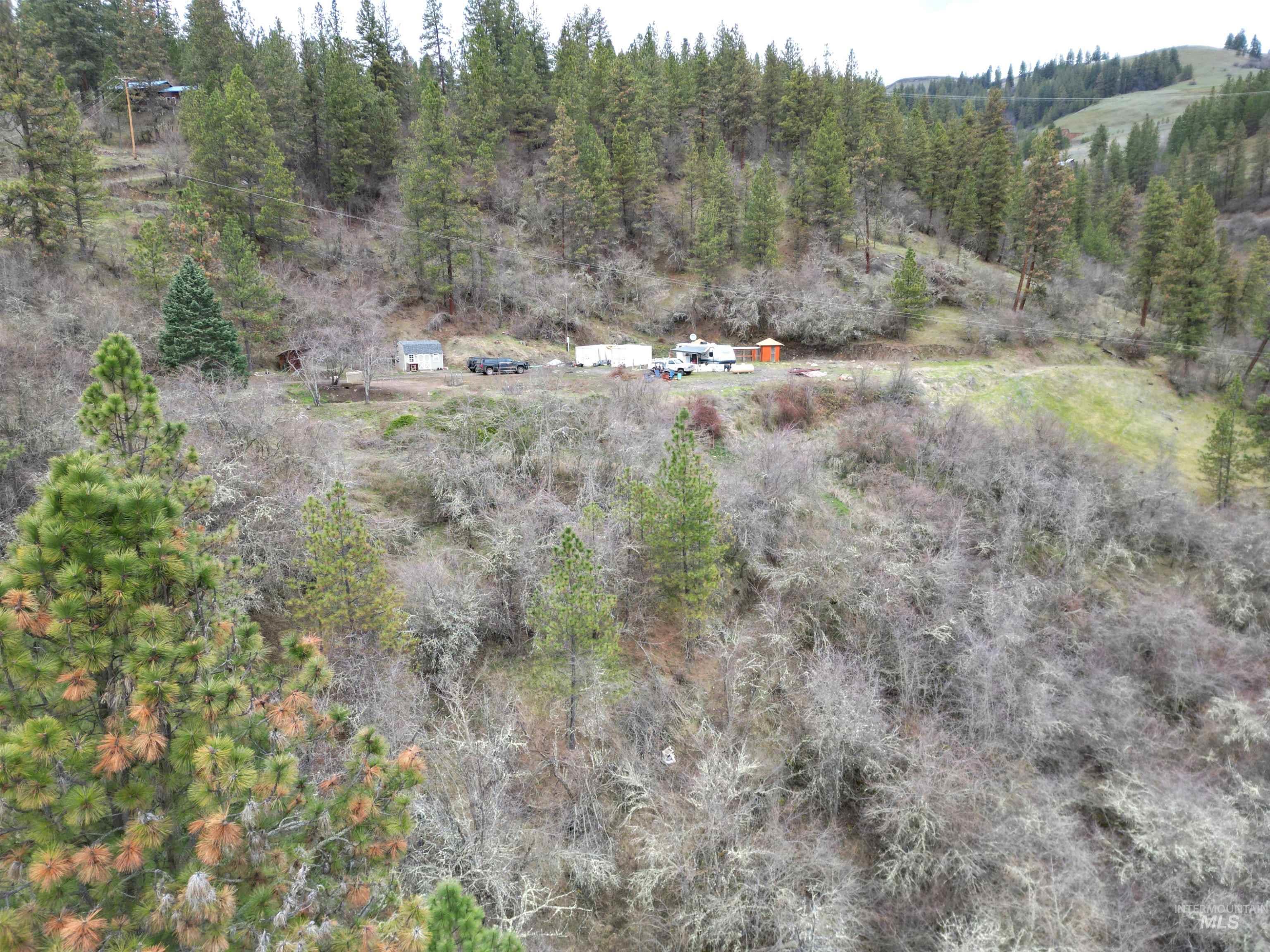 620 Old Peck Grade, Lenore, Idaho 83541, Land For Sale, Price $300,000,MLS 98977220