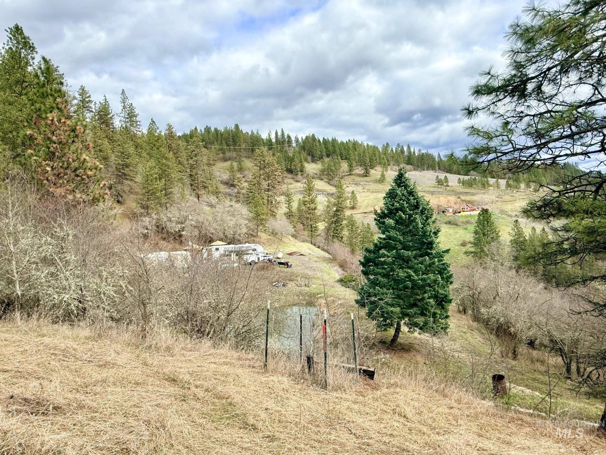 620 Old Peck Grade, Lenore, Idaho 83541, Land For Sale, Price $300,000,MLS 98977220