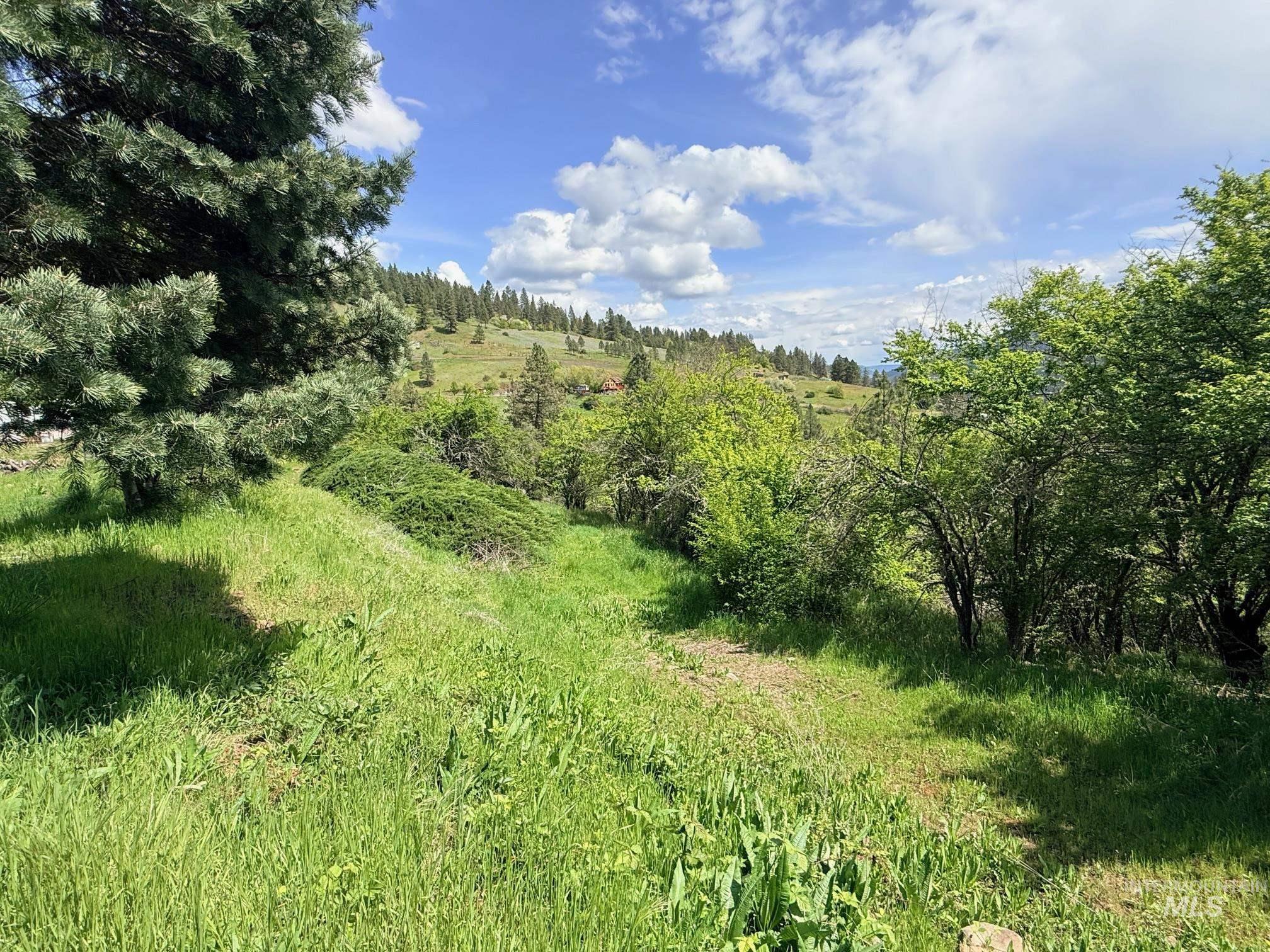 620 Old Peck Grade, Lenore, Idaho 83541, Land For Sale, Price $293,000, 98977220
