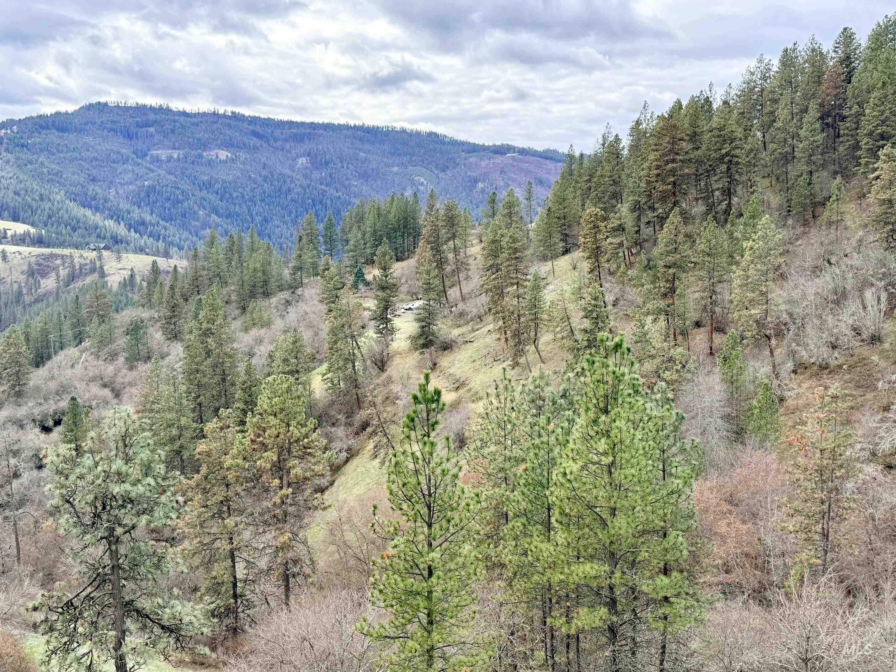 620 Old Peck Grade, Lenore, Idaho 83541, Land For Sale, Price $300,000, 98977220