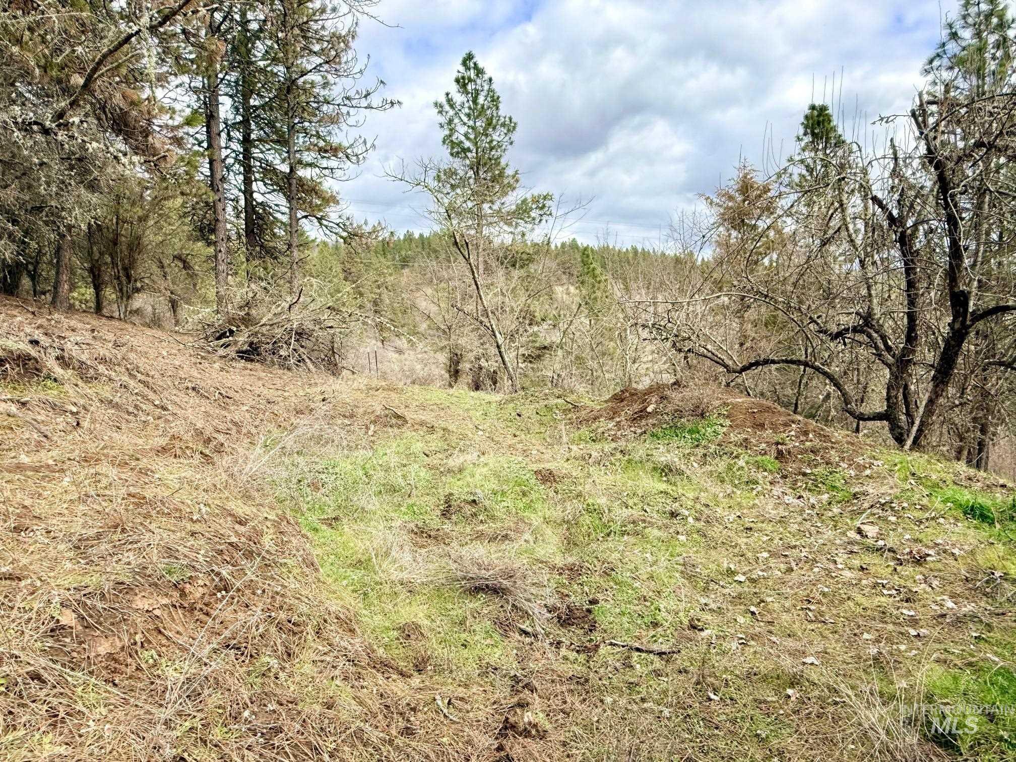 620 Old Peck Grade, Lenore, Idaho 83541, Land For Sale, Price $300,000,MLS 98977220