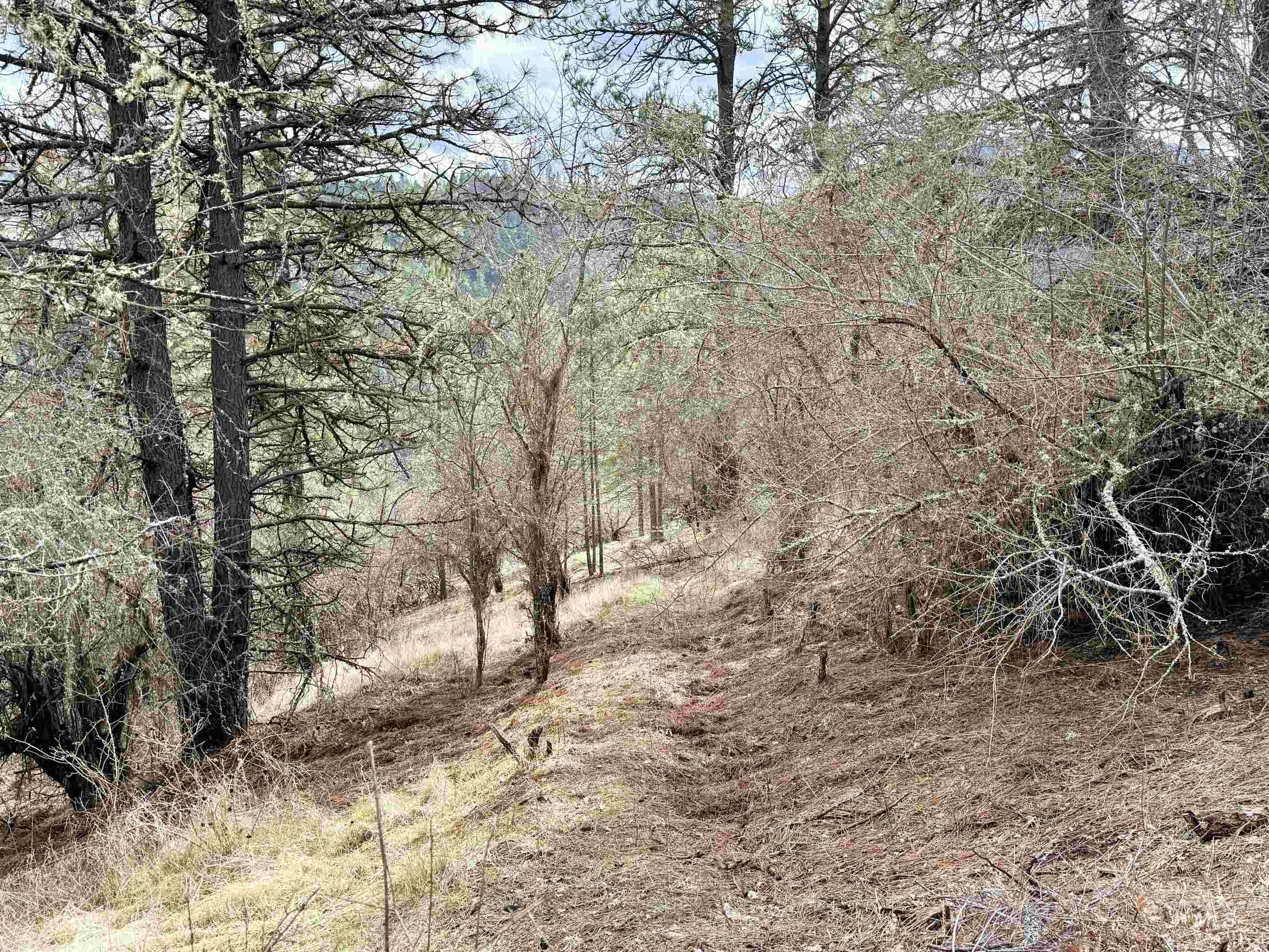 620 Old Peck Grade, Lenore, Idaho 83541, Land For Sale, Price $300,000,MLS 98977220